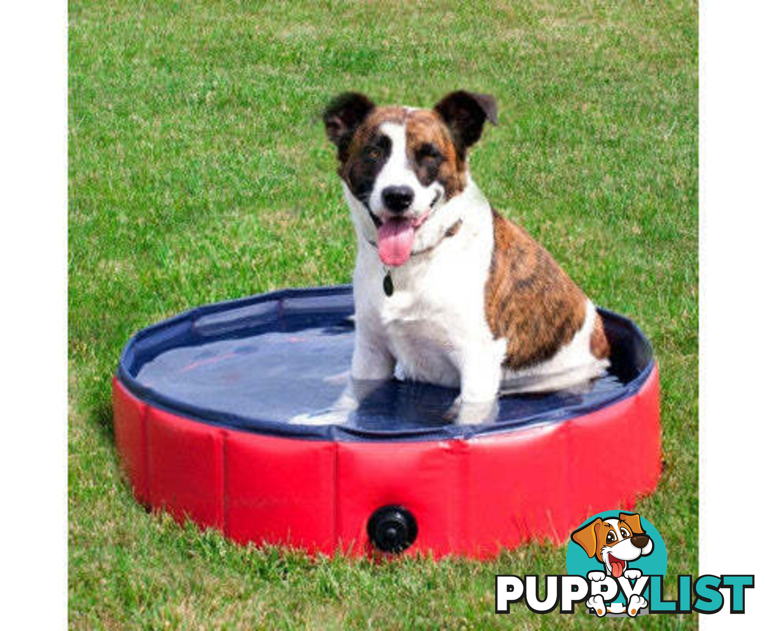 Floofi Pet Pool - V227-3331641004040