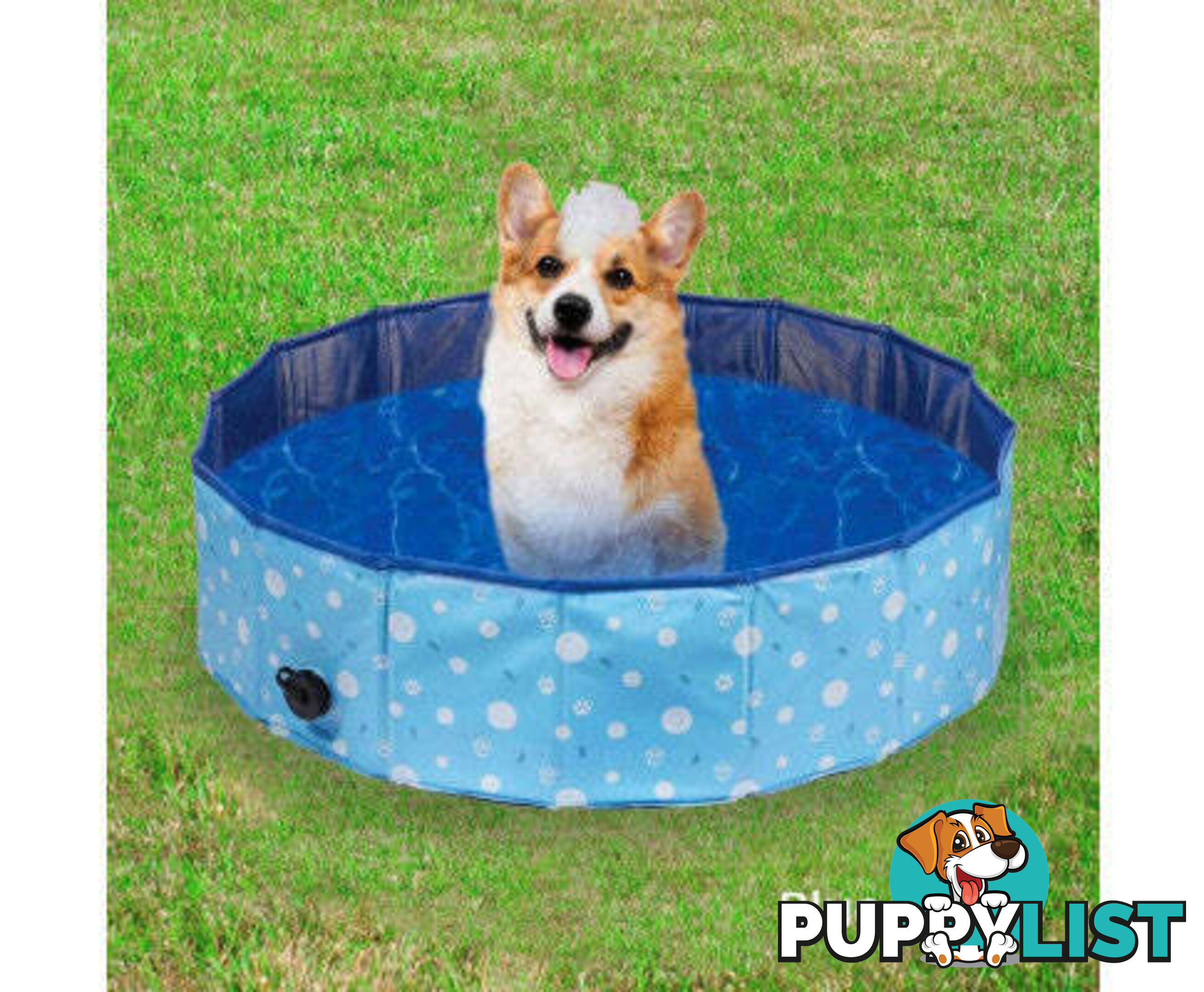 Floofi Pet Pool - V227-3331641004040