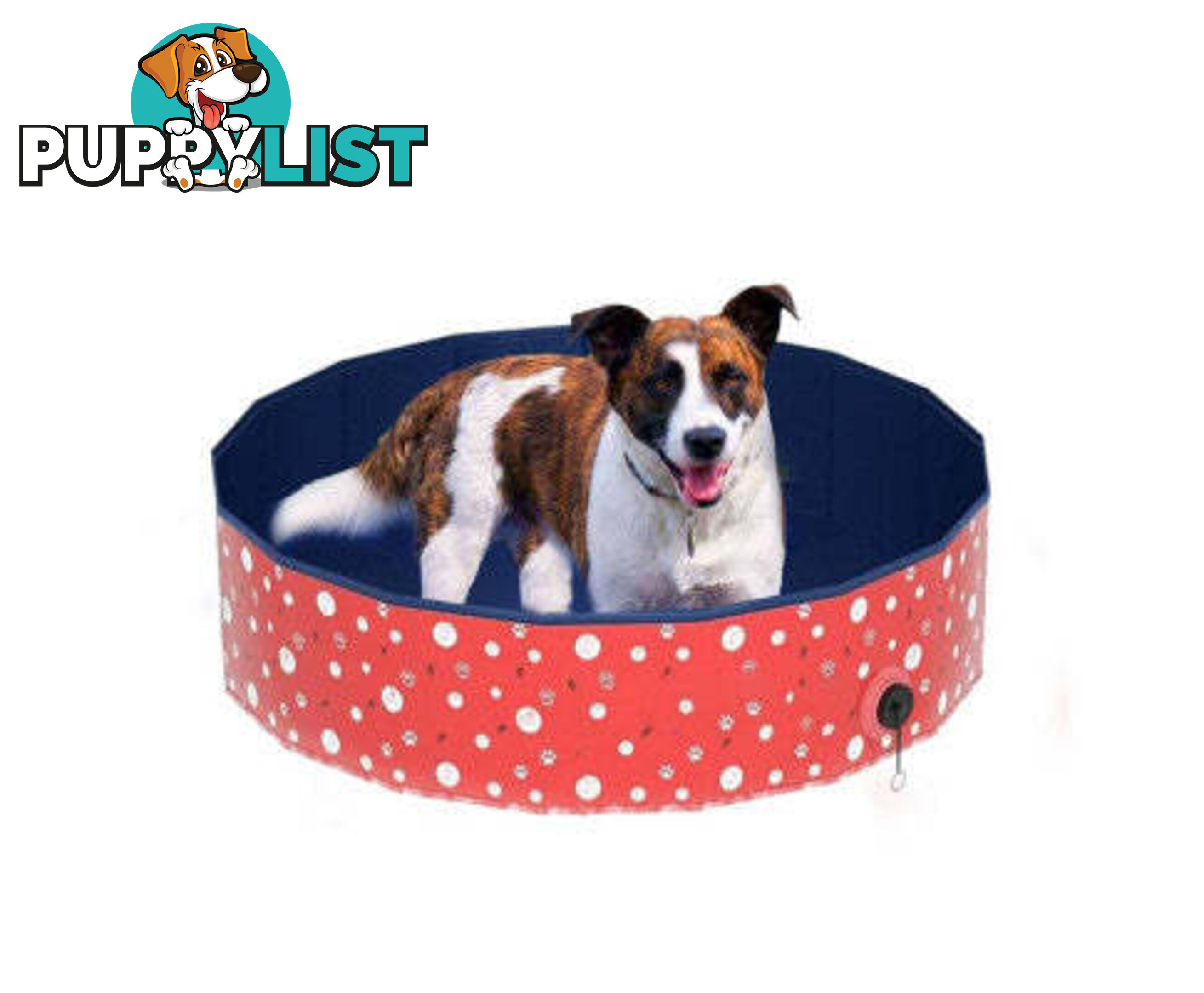 Floofi Pet Pool - V227-3331641004040