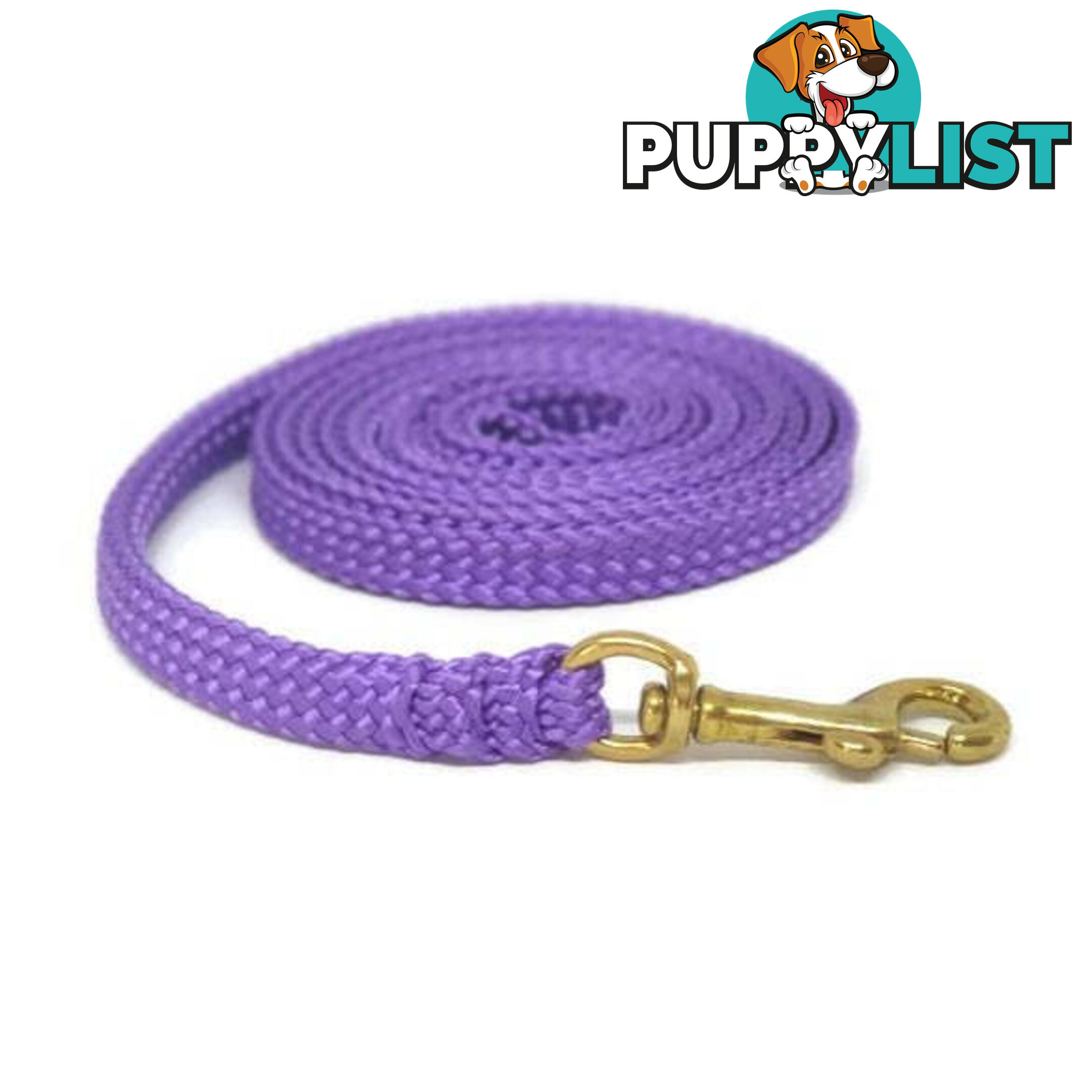 1.8m to 10m Long Dog Lead No Stitching Tough Yarnix 10mm Wide - YNXLD10-1.8-PUR-BR