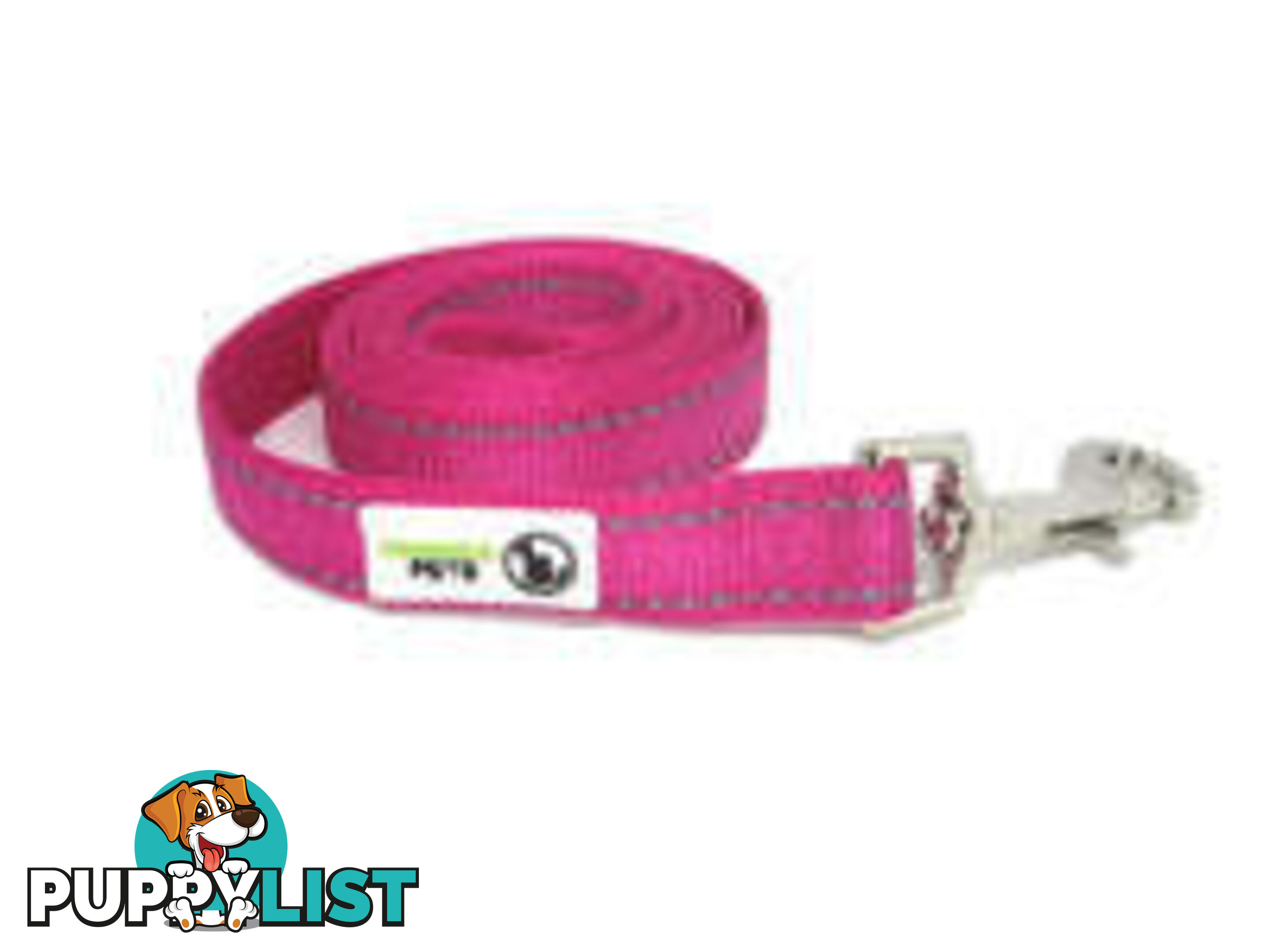 3m Long Nylon w/Reflective Stitching Dog Lead - Moondidley Pets - MDPLDREFPUR253