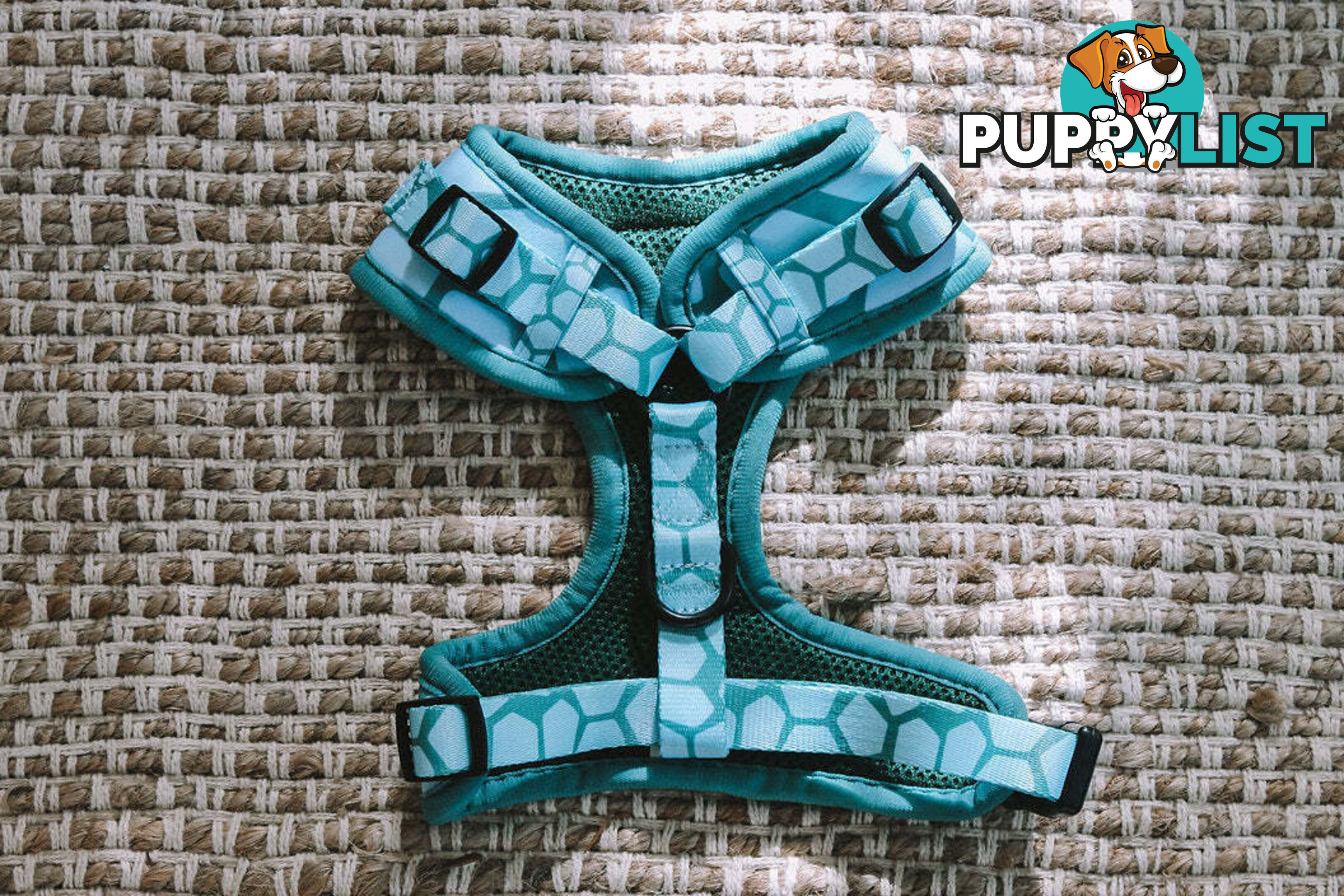 Designer Dog Harness by Explore with Paws - EWPHARTURXSN