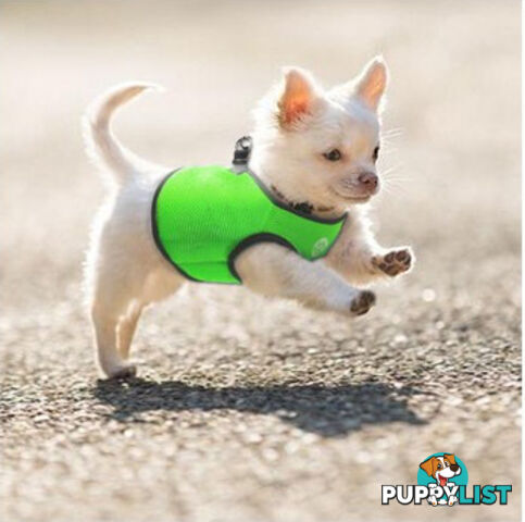 Vest Harness Pet Dog-Cat Step-in Velcro and Buckle Attachments - Moondidley Pets - MDPVESTXSLBLU