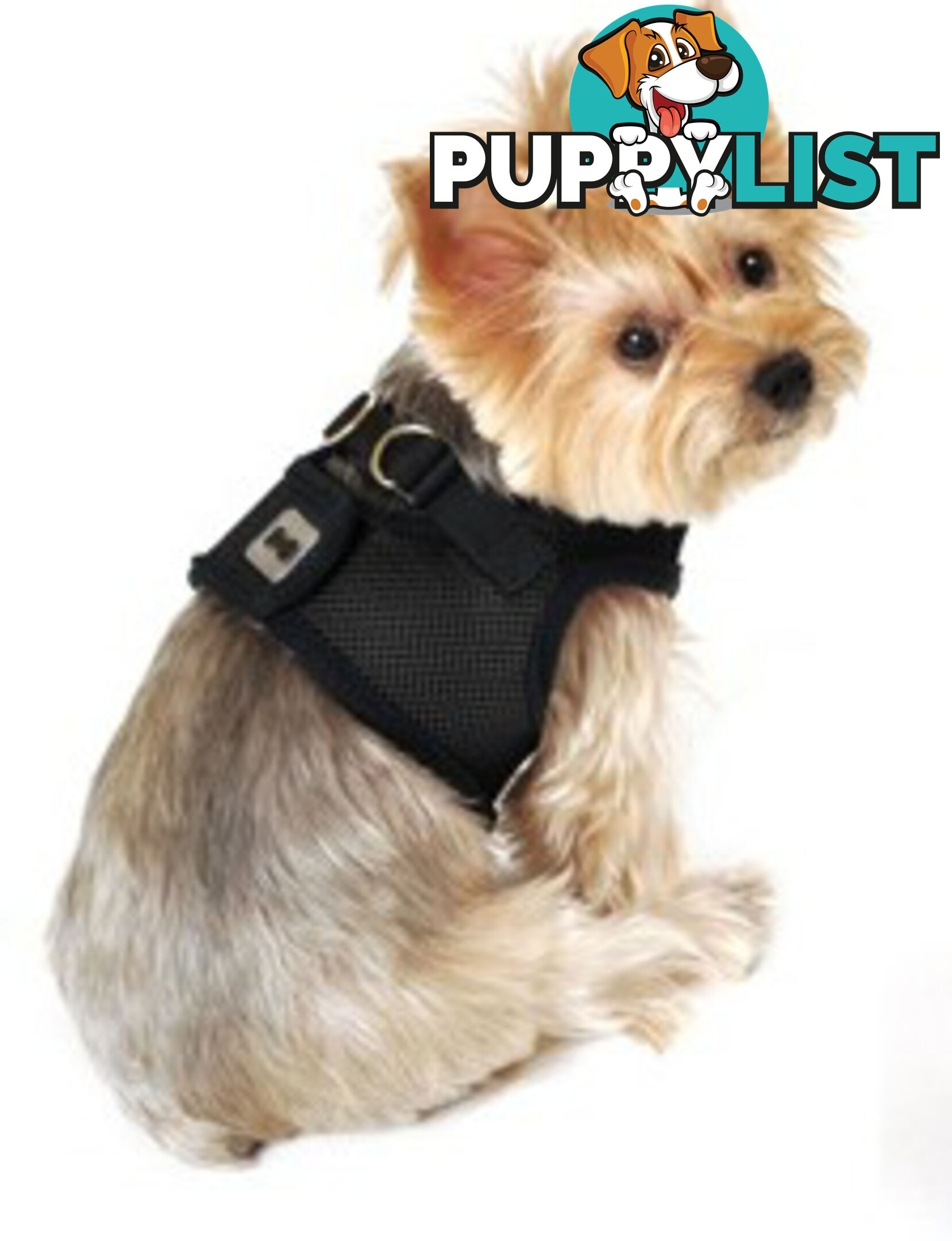 Vest Harness Pet Dog-Cat Step-in Velcro and Buckle Attachments - Moondidley Pets - MDPVESTXSLBLU