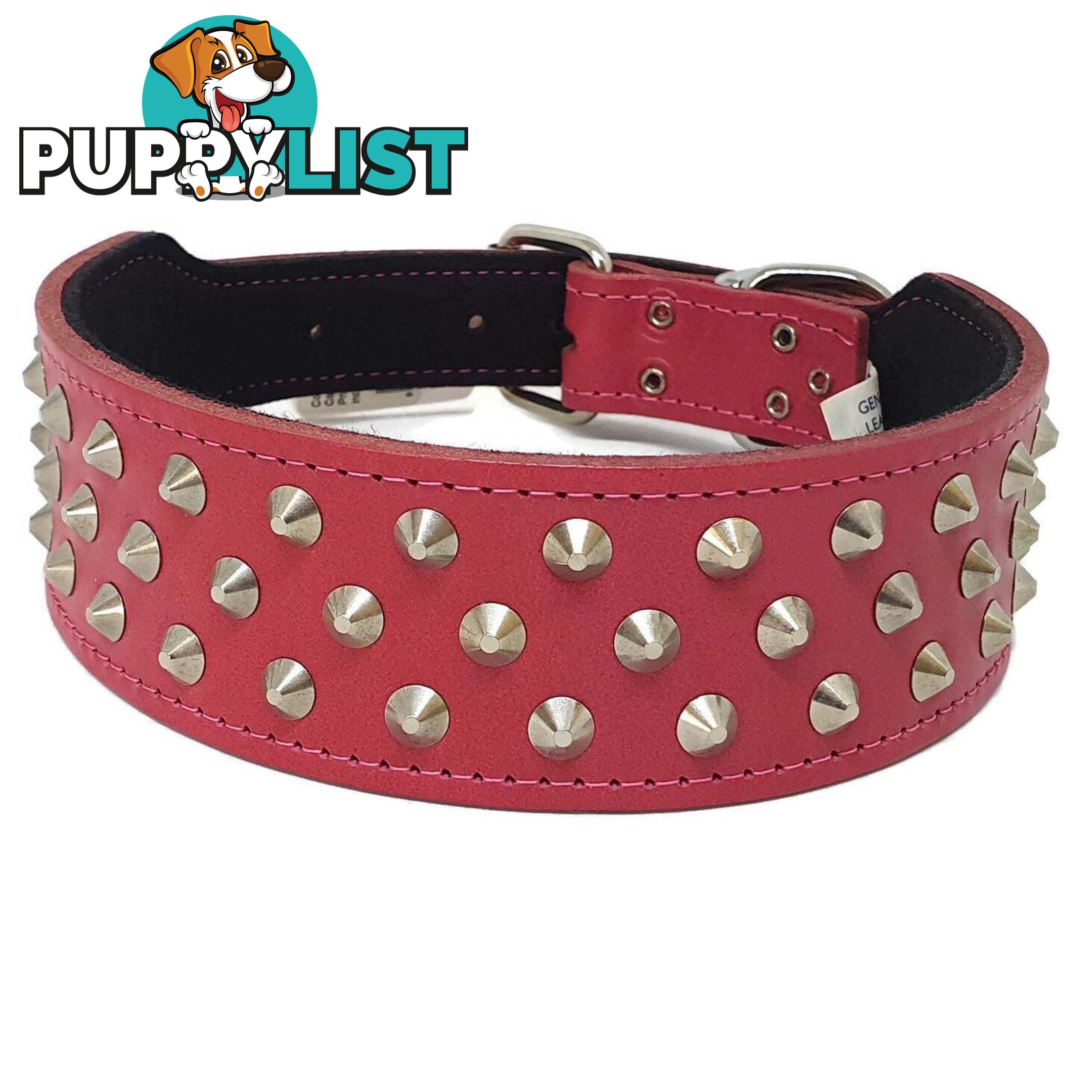Staffy Leather Studded Dog Collar - Beau Pets - JPP-10141-BLK