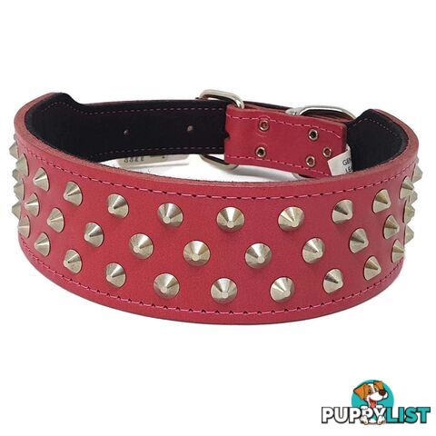 Staffy Leather Studded Dog Collar - Beau Pets - JPP-10141-BLK