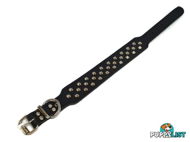 Staffy Leather Studded Dog Collar - Beau Pets - JPP-10141-BLK