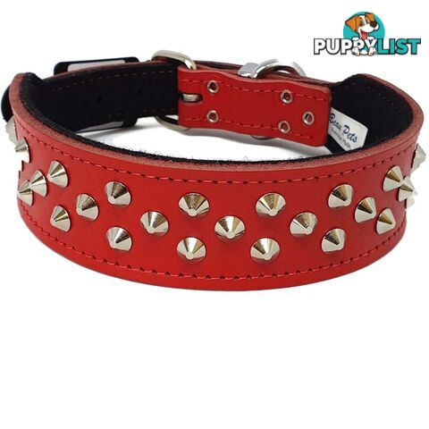 Staffy Leather Studded Dog Collar - Beau Pets - JPP-10141-BLK