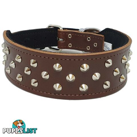 Staffy Leather Studded Dog Collar - Beau Pets - JPP-10141-BLK