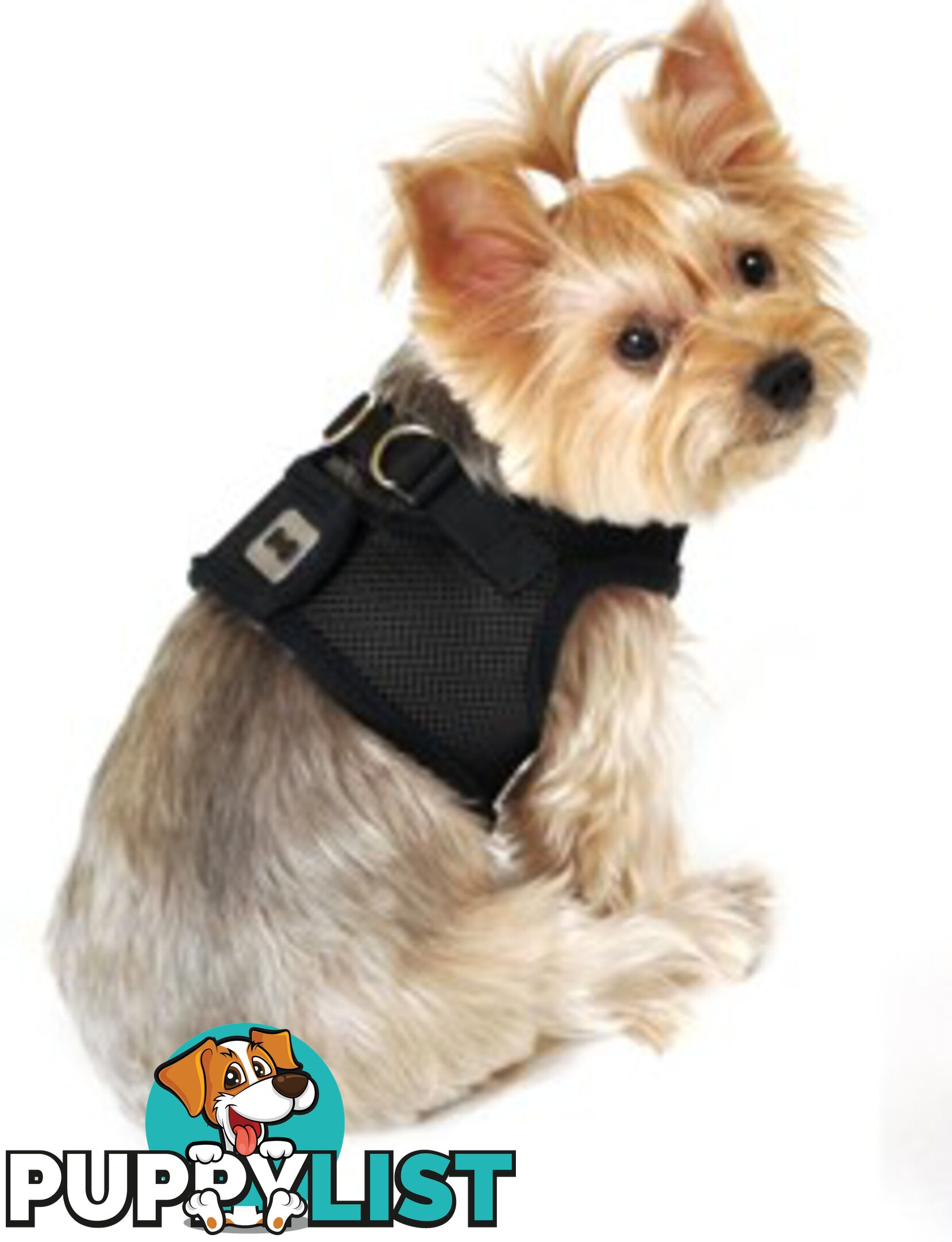 Vest Harness Pet Dog-Cat Step-in Velcro and Buckle Attachments - Moondidley Pets - MDPVESTMGRN