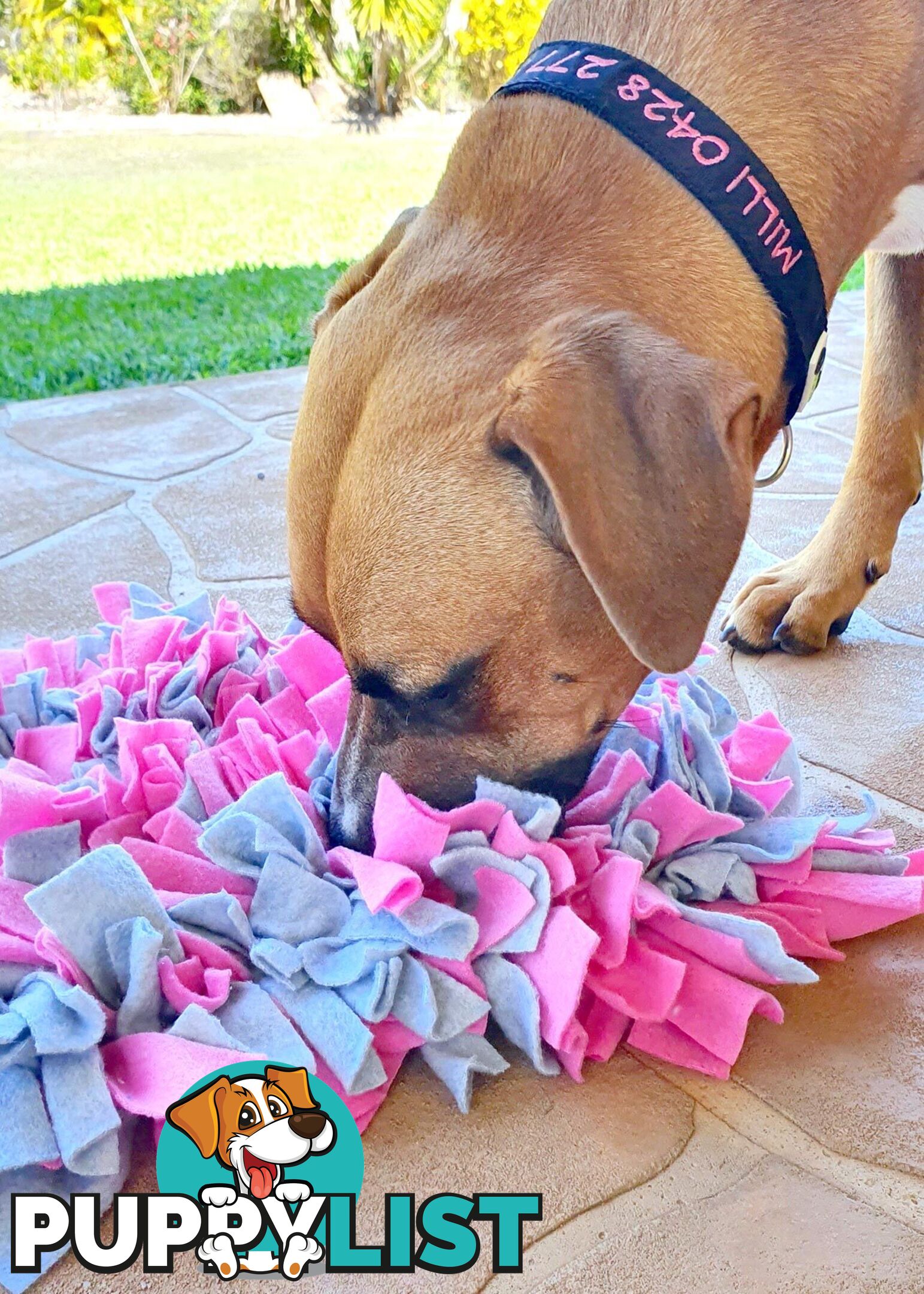 Snuffle Mats - Premium Heavy Duty Rubber Based - Pet Treat Play - Calms Anxiety - Slow Feeder - SNUFFLE-S-PNYE