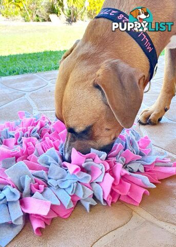 Snuffle Mats - Premium Heavy Duty Rubber Based - Pet Treat Play - Calms Anxiety - Slow Feeder - SNUFFLE-S-PNYE