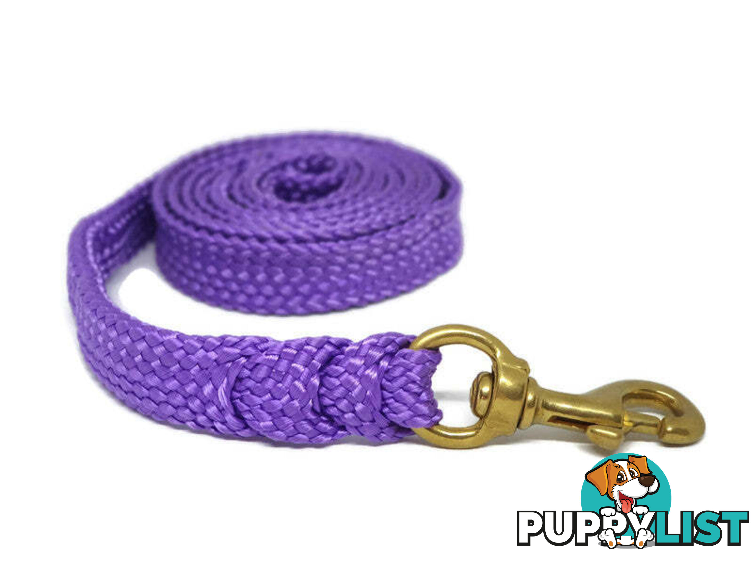 1.8m to 10m Long Dog Lead No Stitching Tough Yarnix 20mm Wide - YNXLD2010SSREDGRN