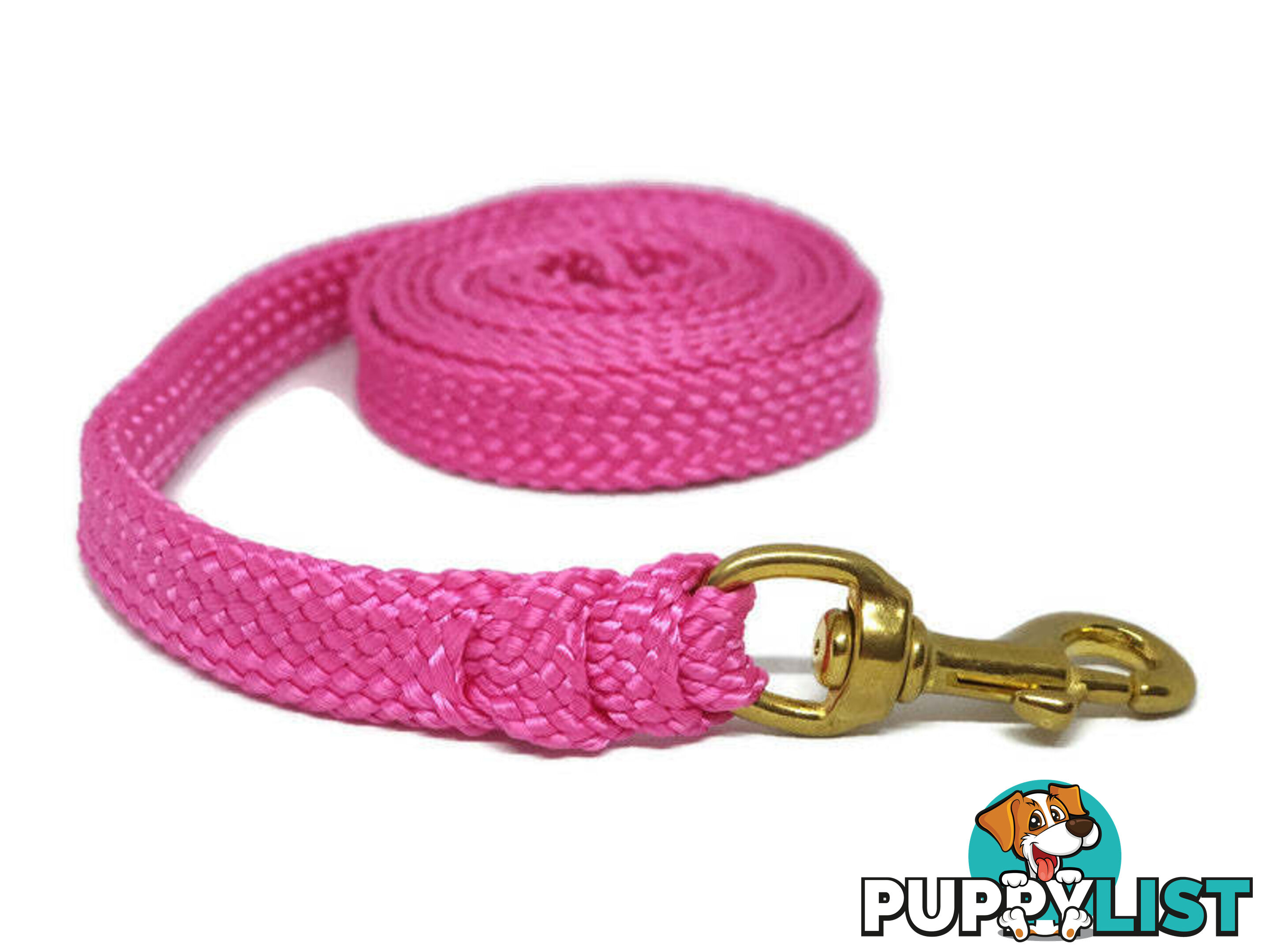 1.8m to 10m Long Dog Lead No Stitching Tough Yarnix 20mm Wide - YNXLD2010SSREDGRN