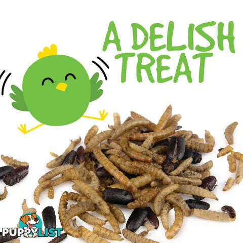 DRIED BUG MIX - BAINBRIDGE - BB-A8455