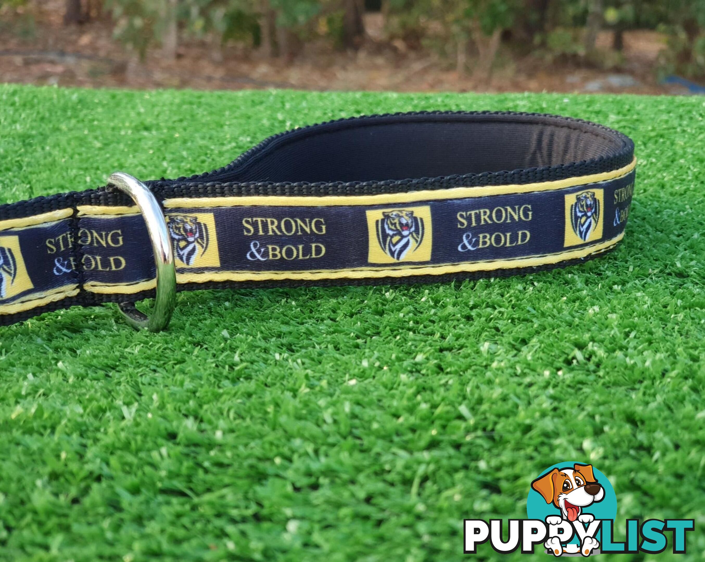 AFL Dog Leads, Footy - Aussie Rules - Moondidley Pets - MDPLDAFLGRCA