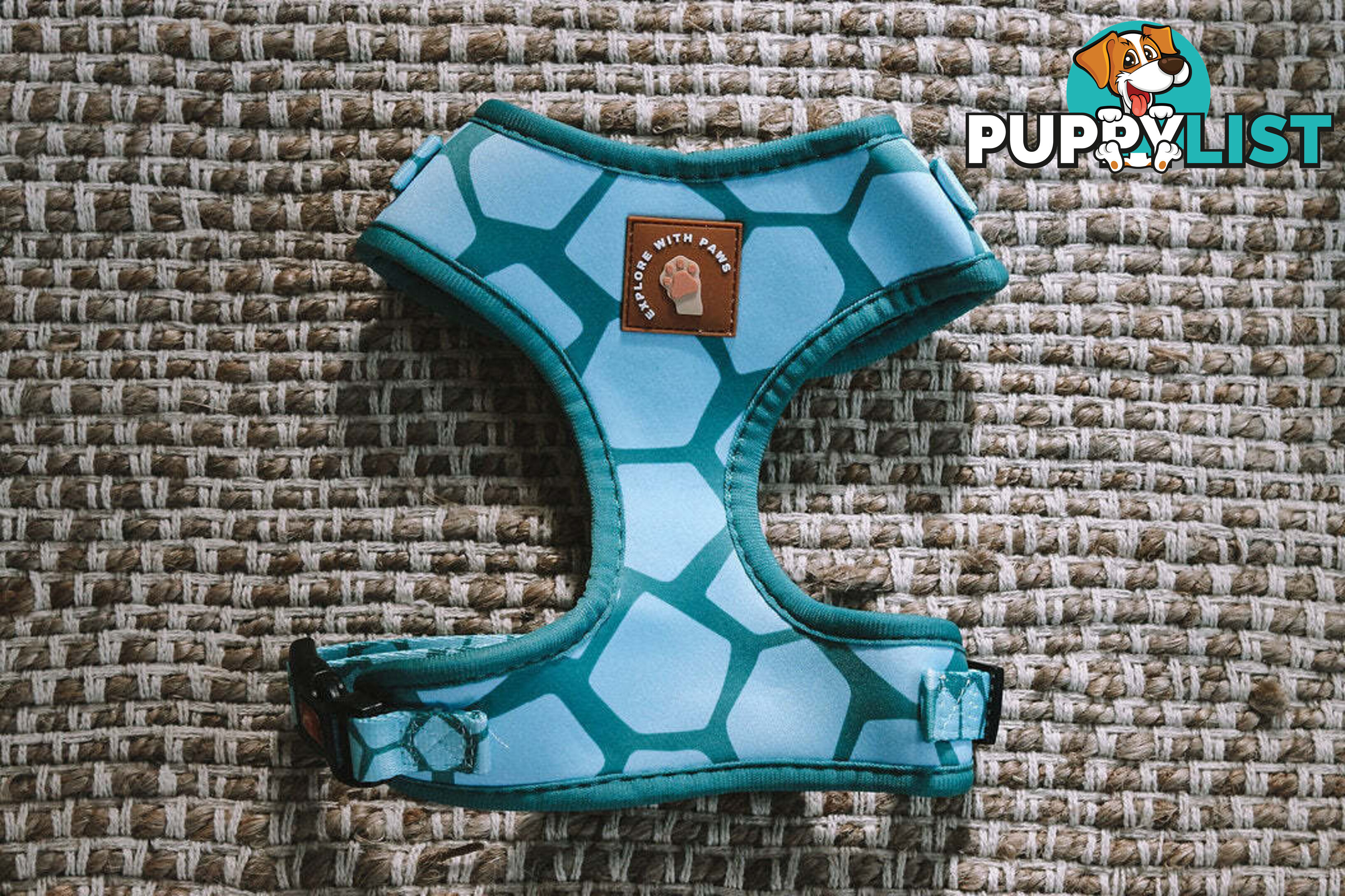 Designer Dog Harness by Explore with Paws - EWPHARPNKSN