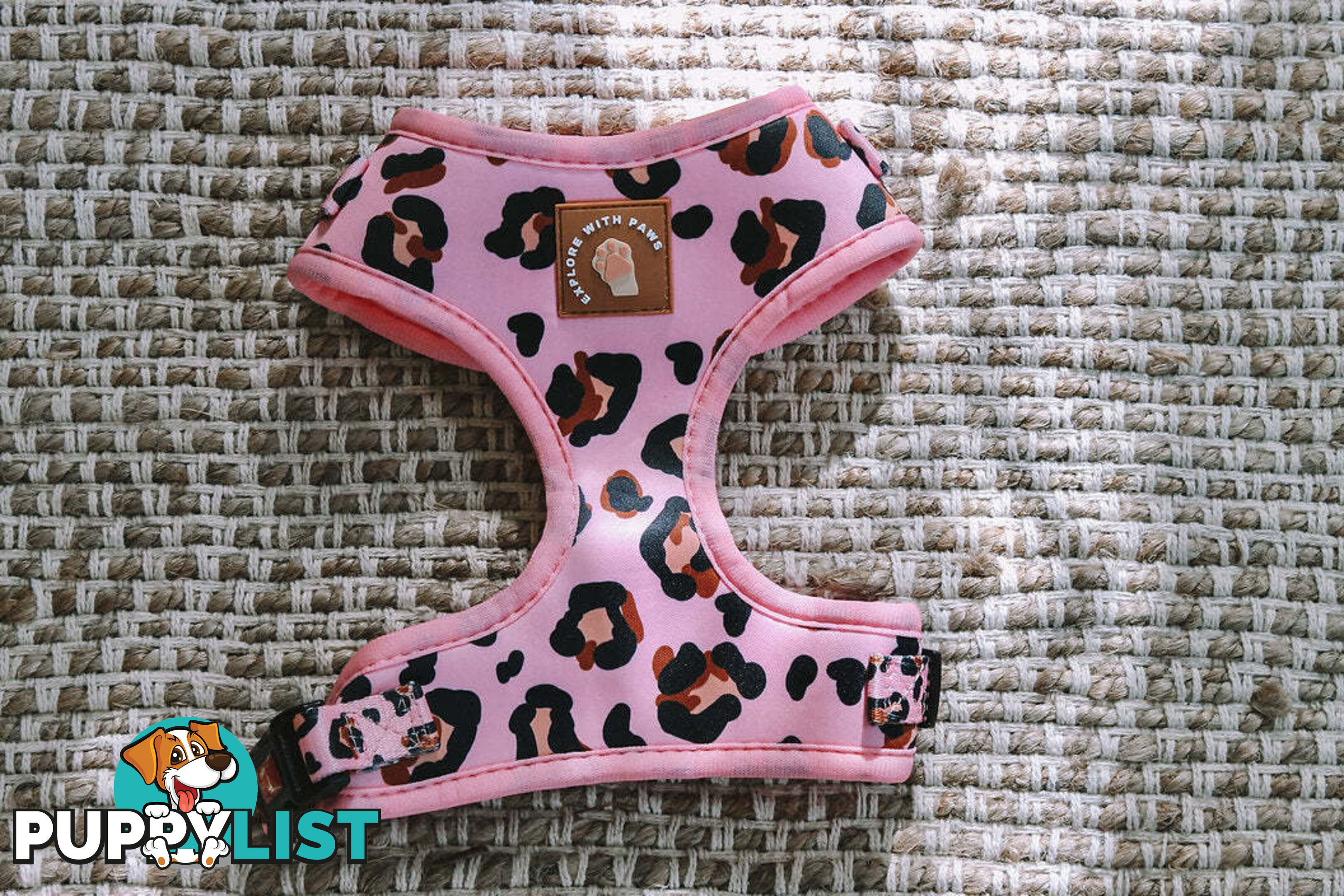 Designer Dog Harness by Explore with Paws - EWPHARPNKSN