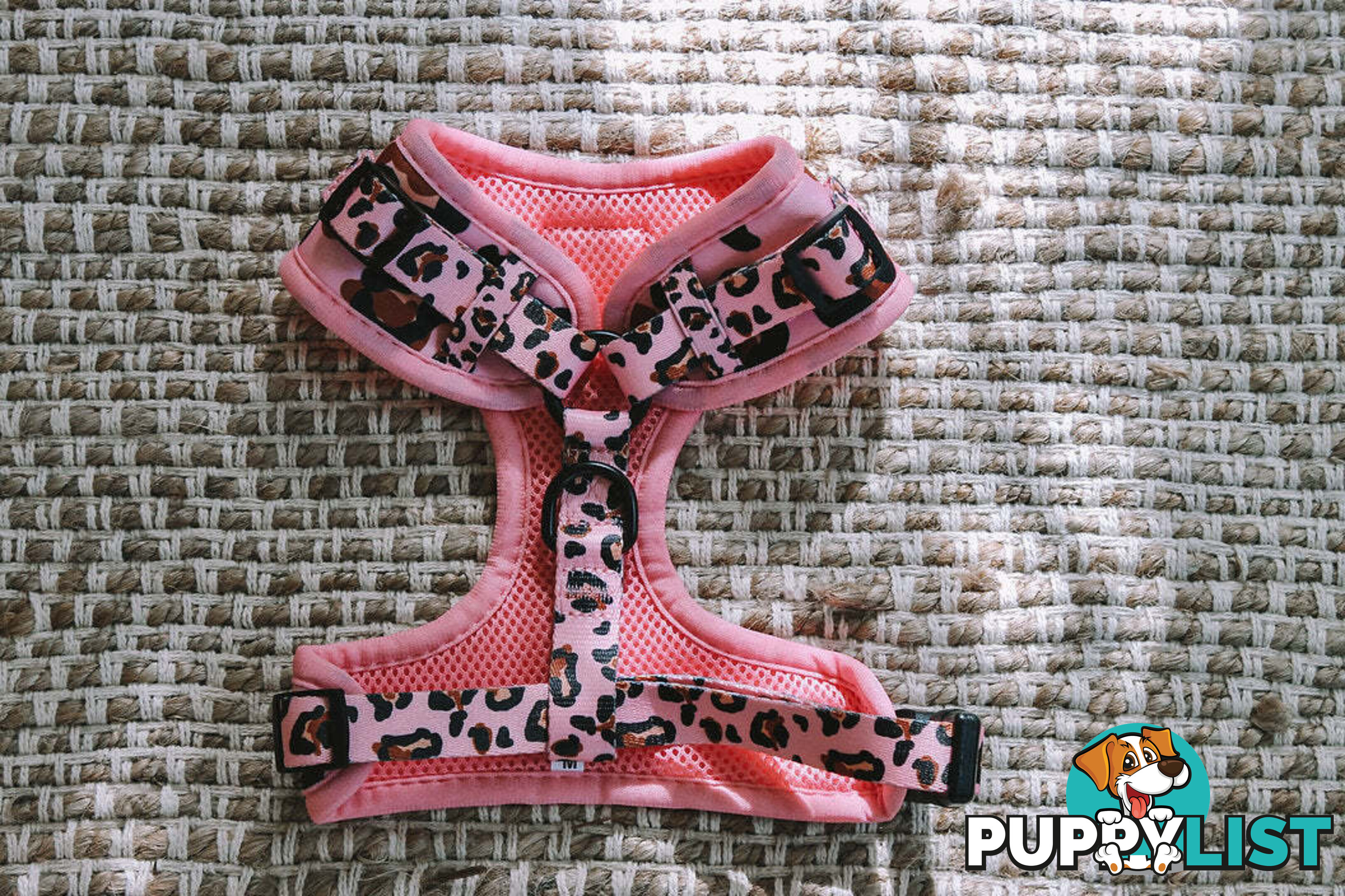 Designer Dog Harness by Explore with Paws - EWPHARPNKSN
