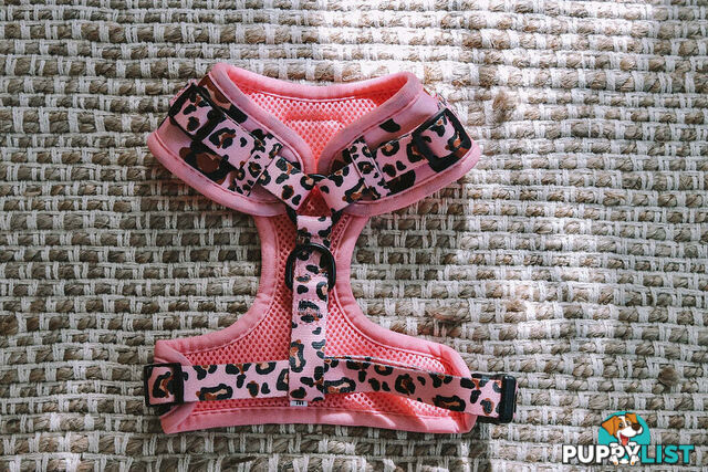 Designer Dog Harness by Explore with Paws - EWPHARPNKSN