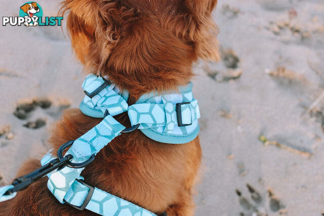 Designer Dog Harness by Explore with Paws - EWPHARPNKSN