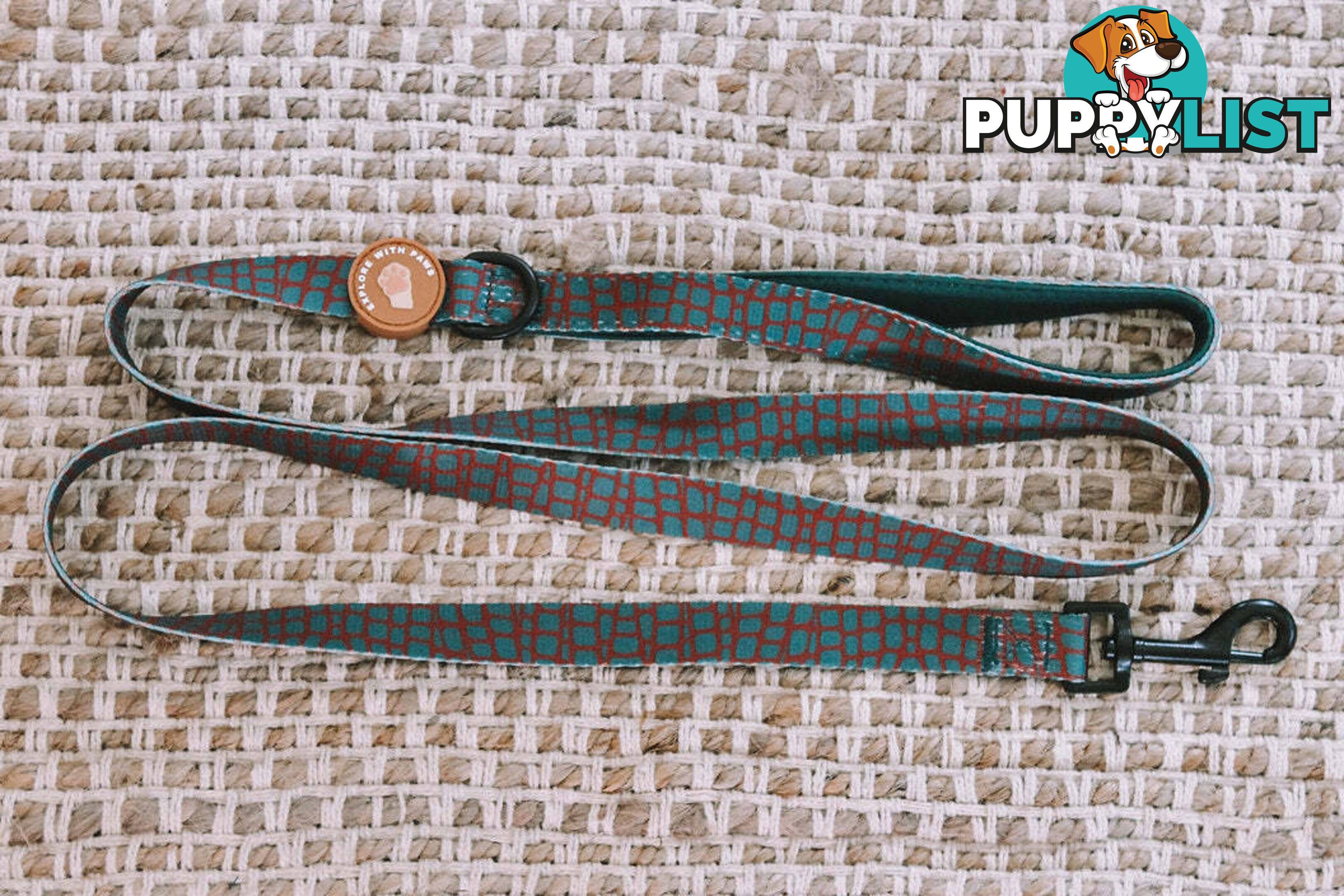 Designer Dog Leads by Explore with Paws - EWPLDTIG