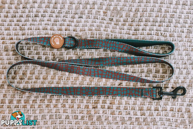 Designer Dog Leads by Explore with Paws - EWPLDTIG