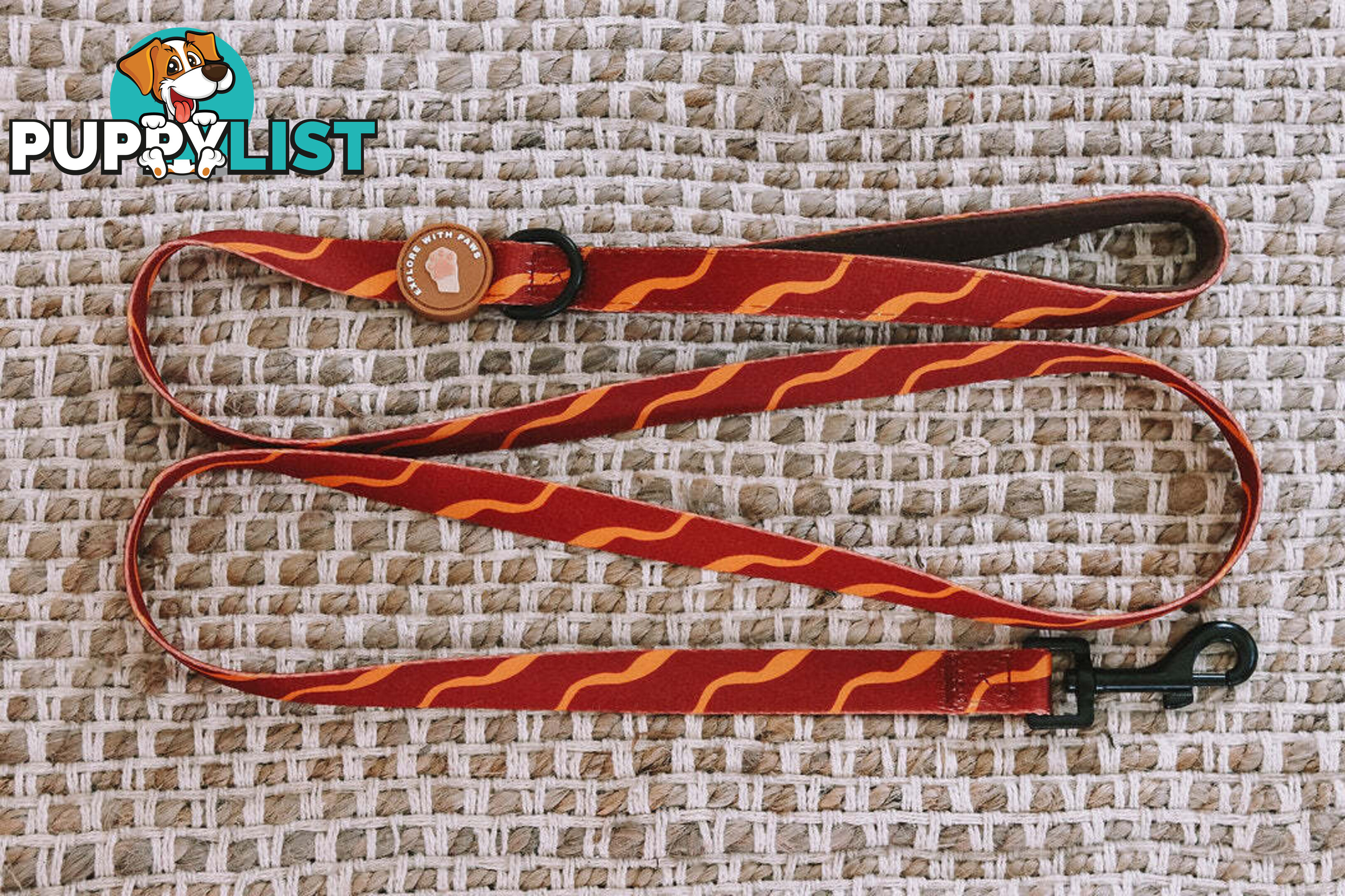 Designer Dog Leads by Explore with Paws - EWPLDTIG