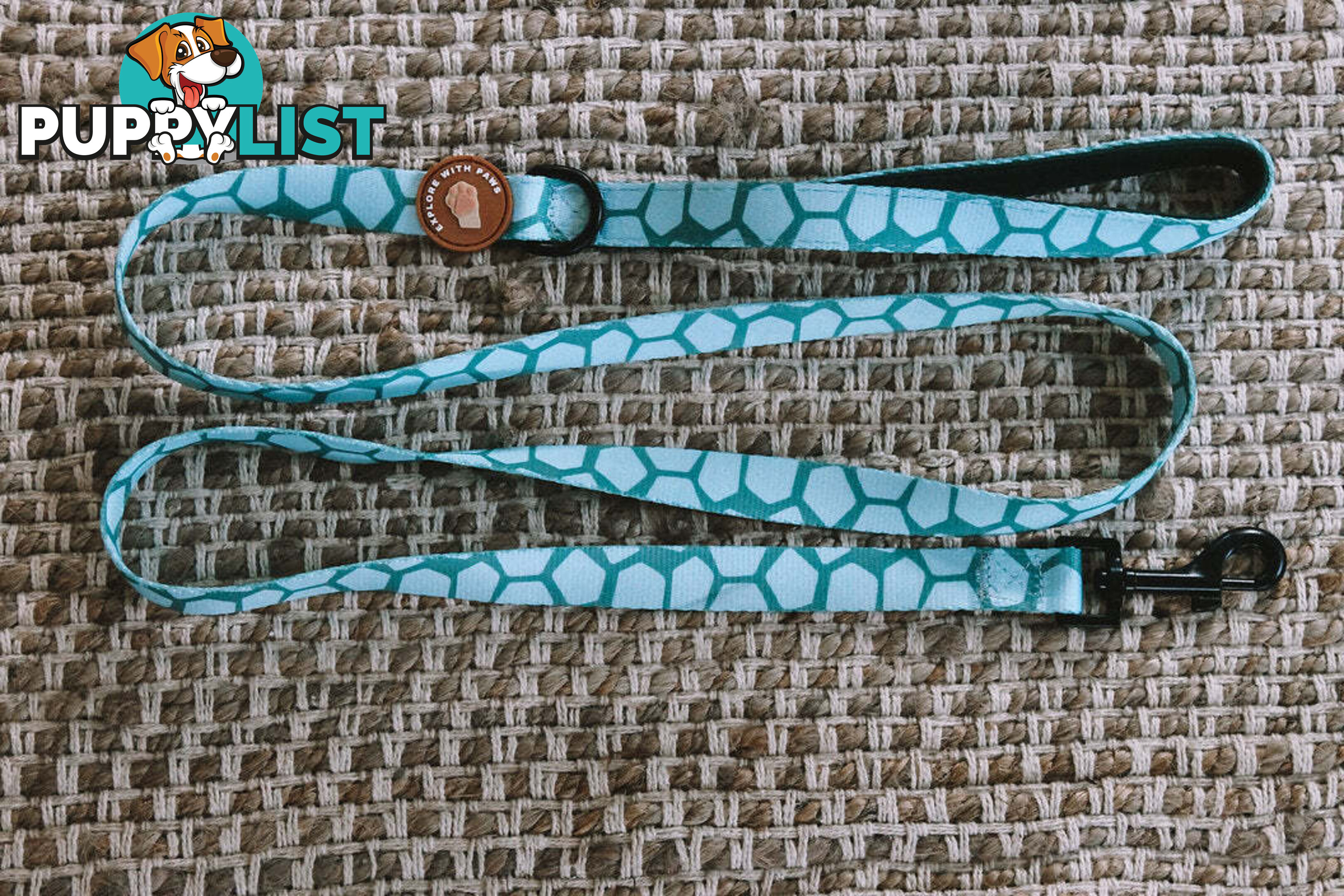 Designer Dog Leads by Explore with Paws - EWPLDTIG