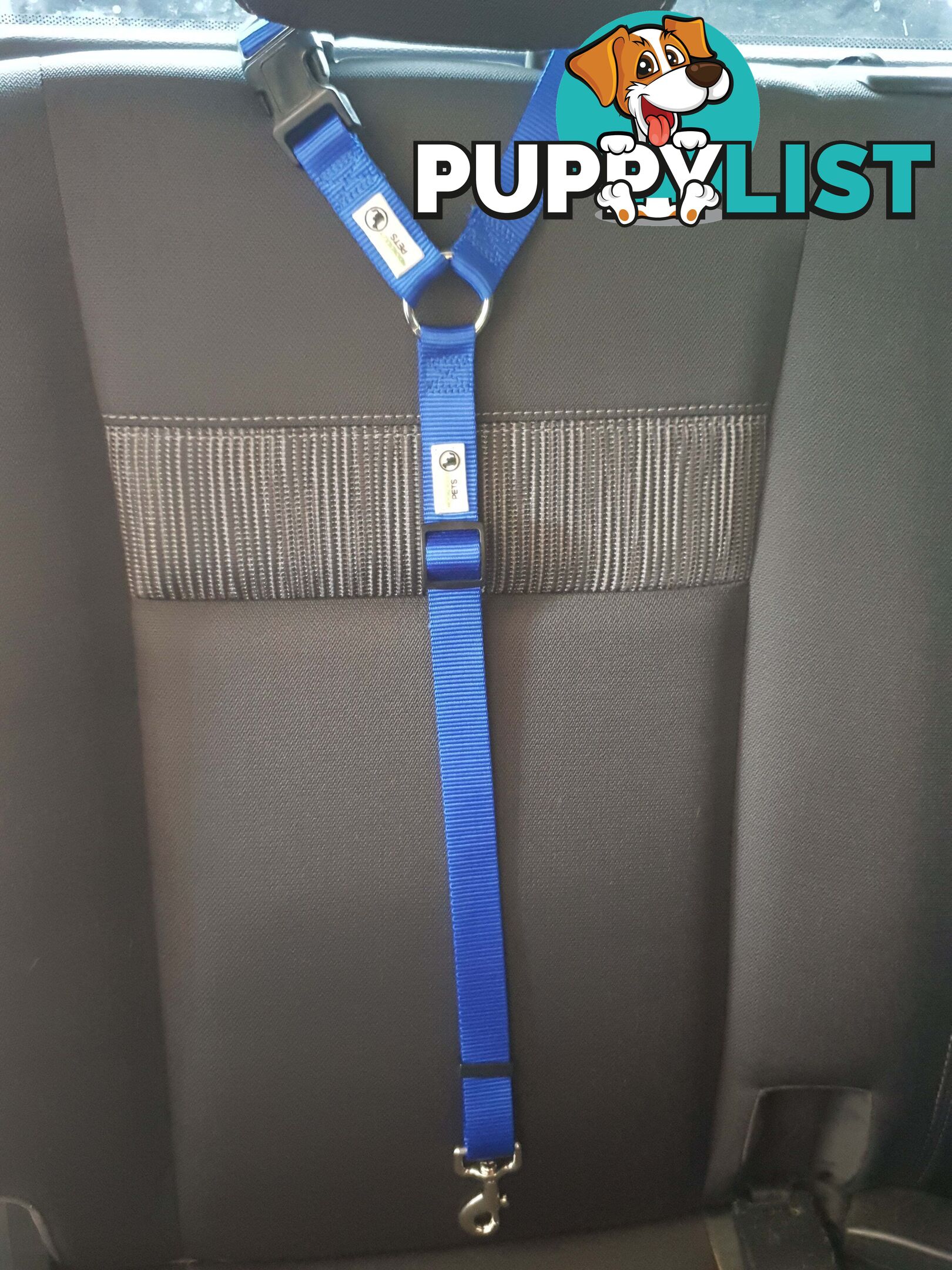 Dog Seatbelt Headrest Restraint Safety Travel - Moondidley Pets - MDPHRSBRD