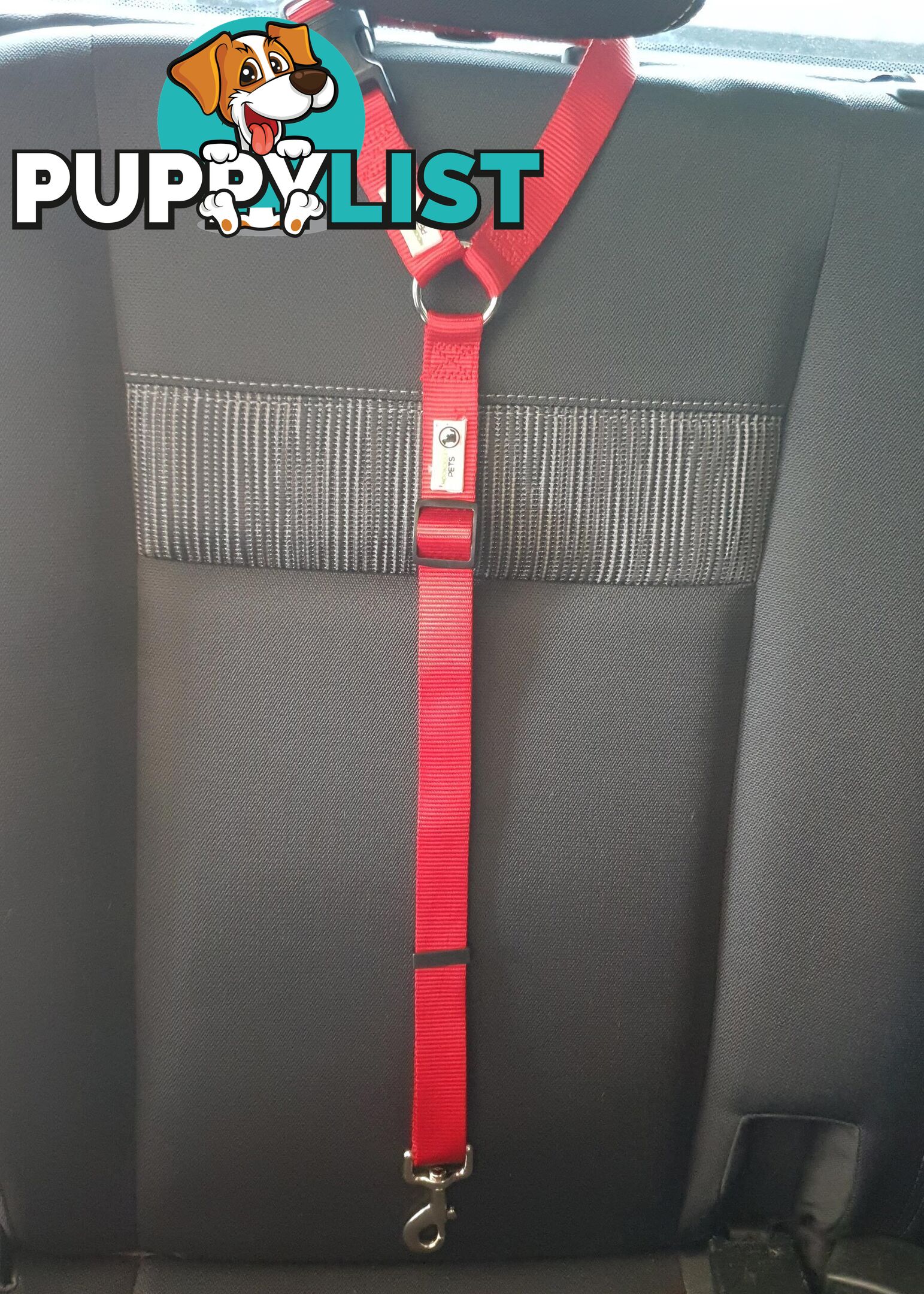 Dog Seatbelt Headrest Restraint Safety Travel - Moondidley Pets - MDPHRSBRD