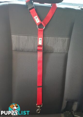 Dog Seatbelt Headrest Restraint Safety Travel - Moondidley Pets - MDPHRSBRD