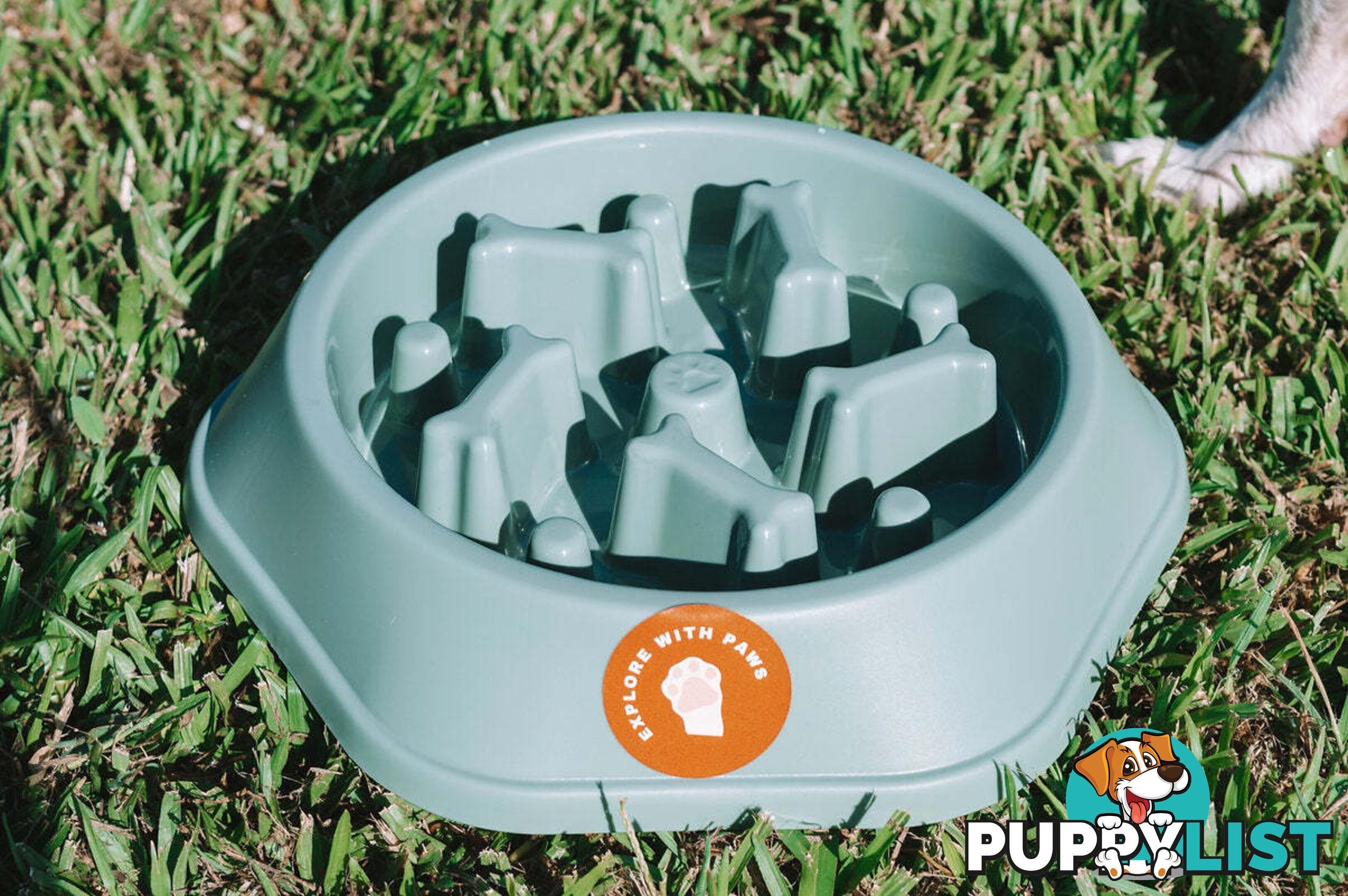 Slow Feeder Bowl - Explore with Paws - EWPSLOBOWRAS