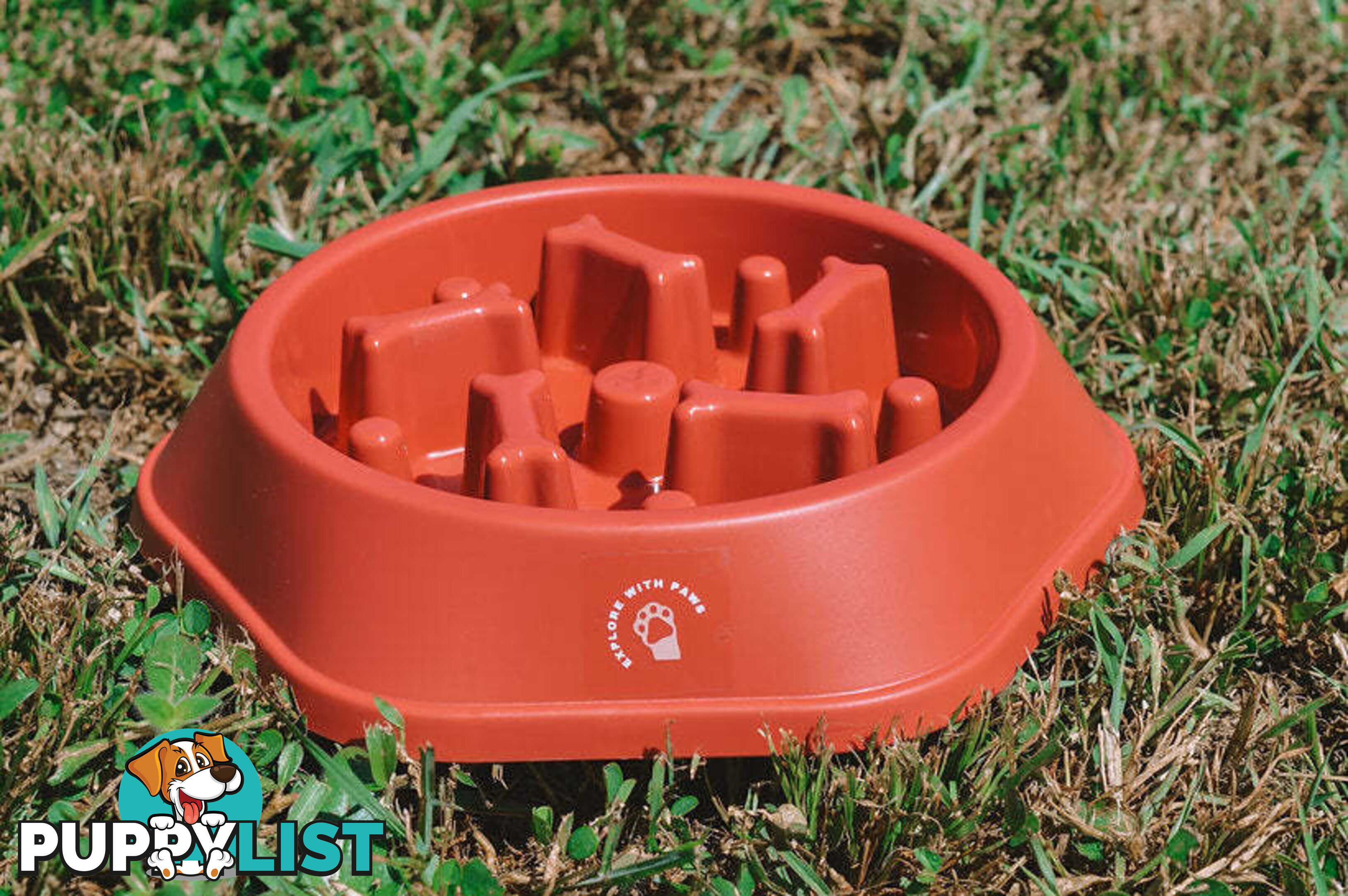 Slow Feeder Bowl - Explore with Paws - EWPSLOBOWRAS
