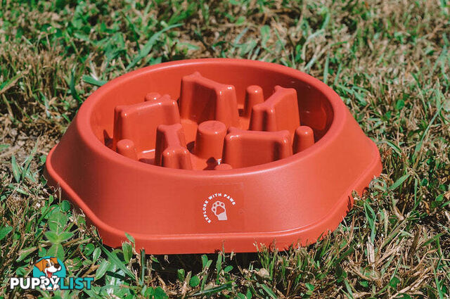 Slow Feeder Bowl - Explore with Paws - EWPSLOBOWRAS