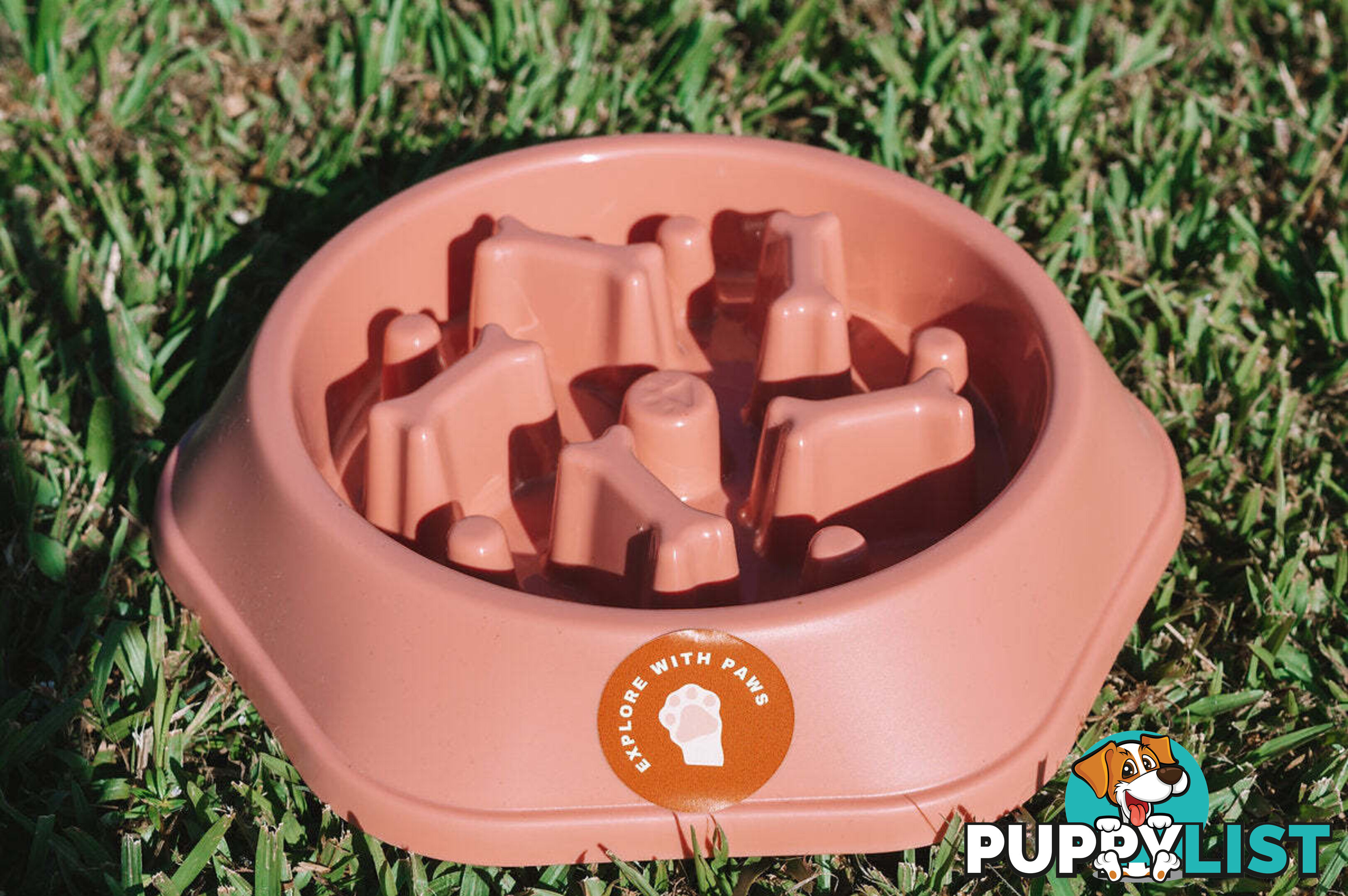 Slow Feeder Bowl - Explore with Paws - EWPSLOBOWRAS