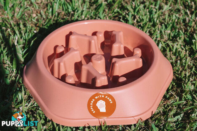 Slow Feeder Bowl - Explore with Paws - EWPSLOBOWRAS