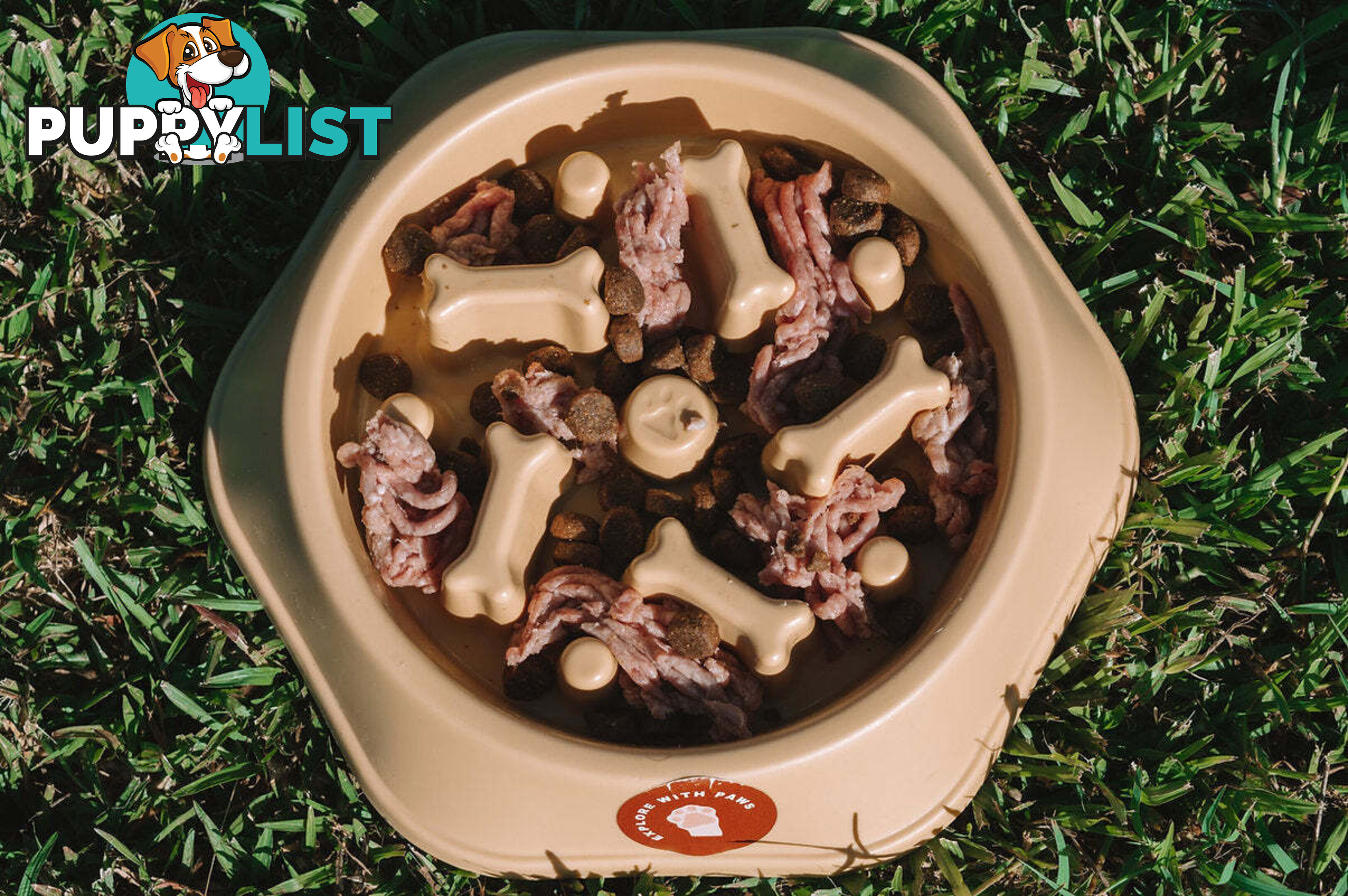 Slow Feeder Bowl - Explore with Paws - EWPSLOBOWRAS