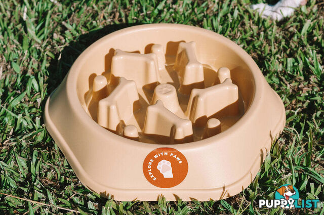 Slow Feeder Bowl - Explore with Paws - EWPSLOBOWRAS
