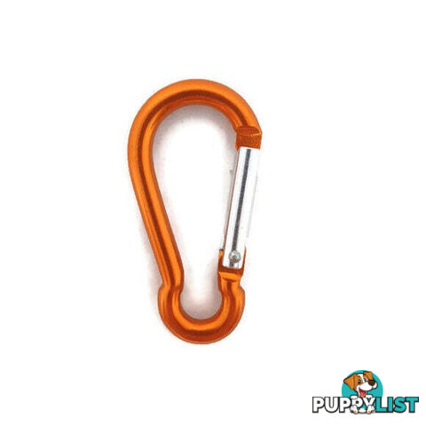 Snap Hook Carabiner - 6mm Aluminium - BNCARALUSIL
