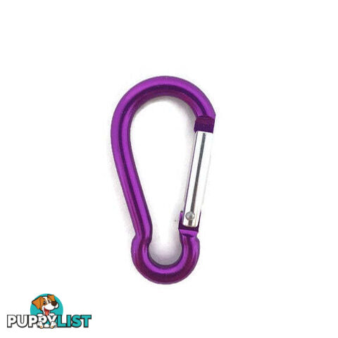 Snap Hook Carabiner - 6mm Aluminium - BNCARALUSIL