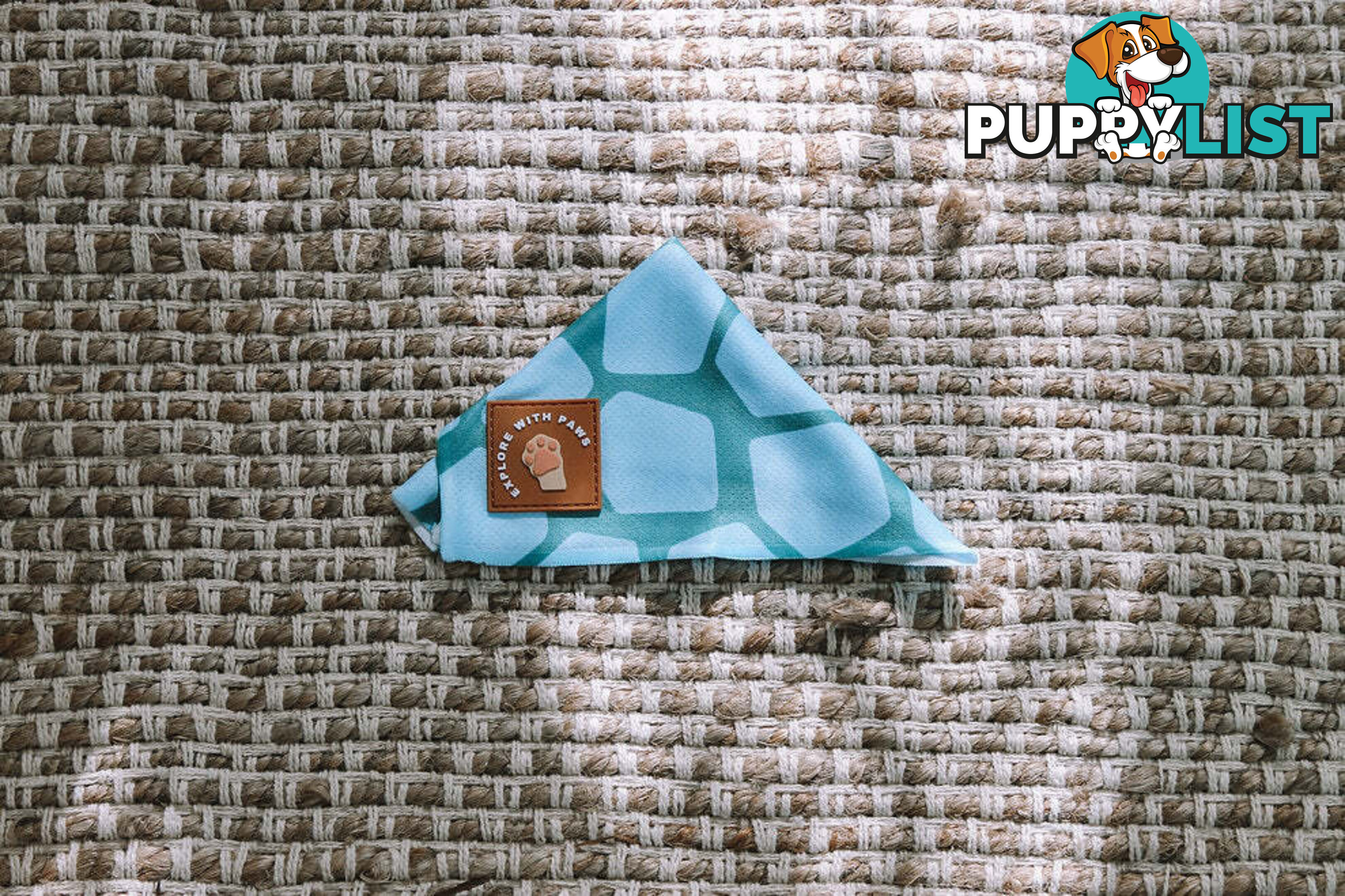 Designer Dog Bandana's by Explore with Paws - EWPBANLTIG