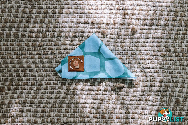 Designer Dog Bandana's by Explore with Paws - EWPBANLTIG