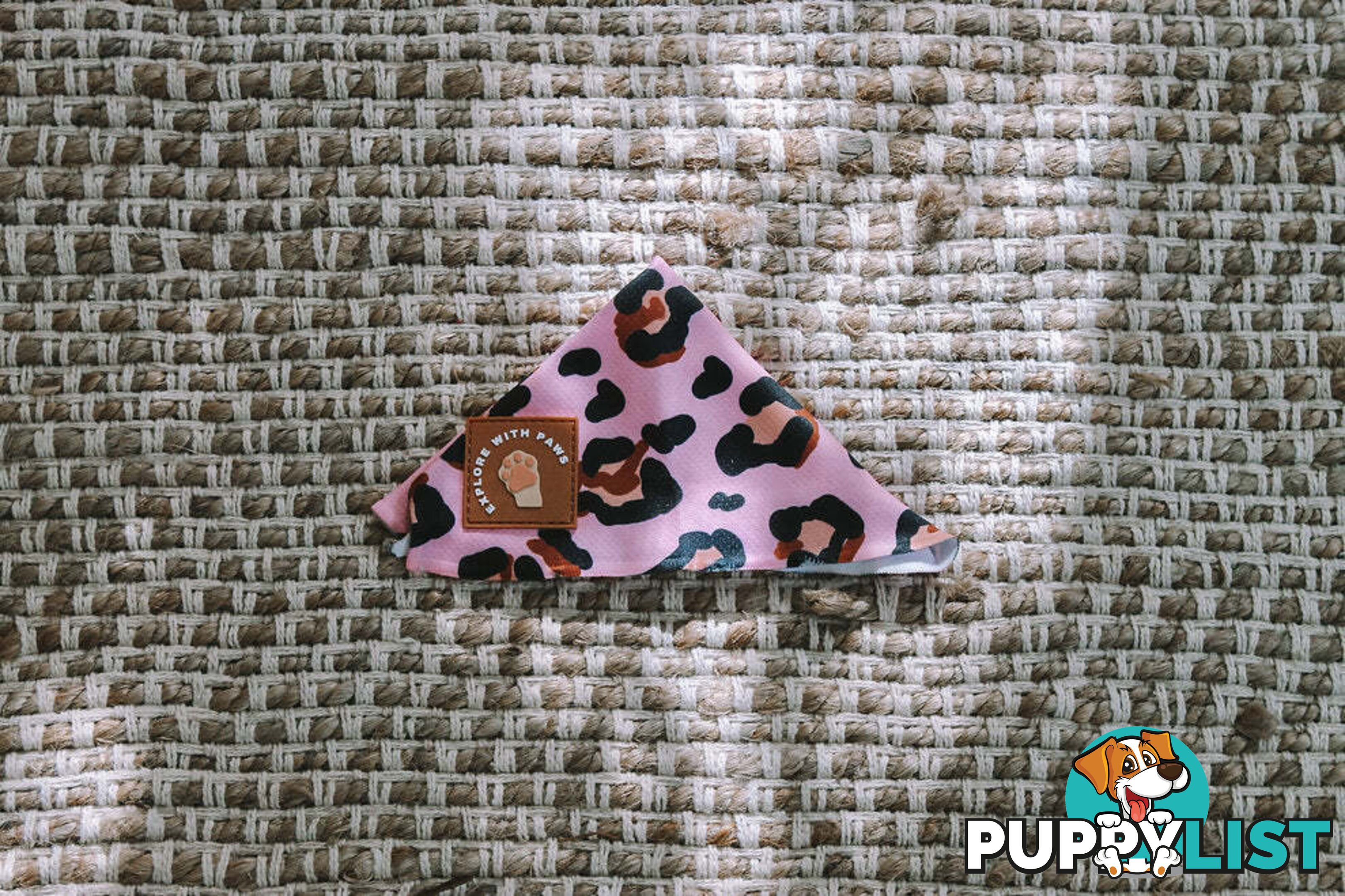 Designer Dog Bandana's by Explore with Paws - EWPBANLTIG