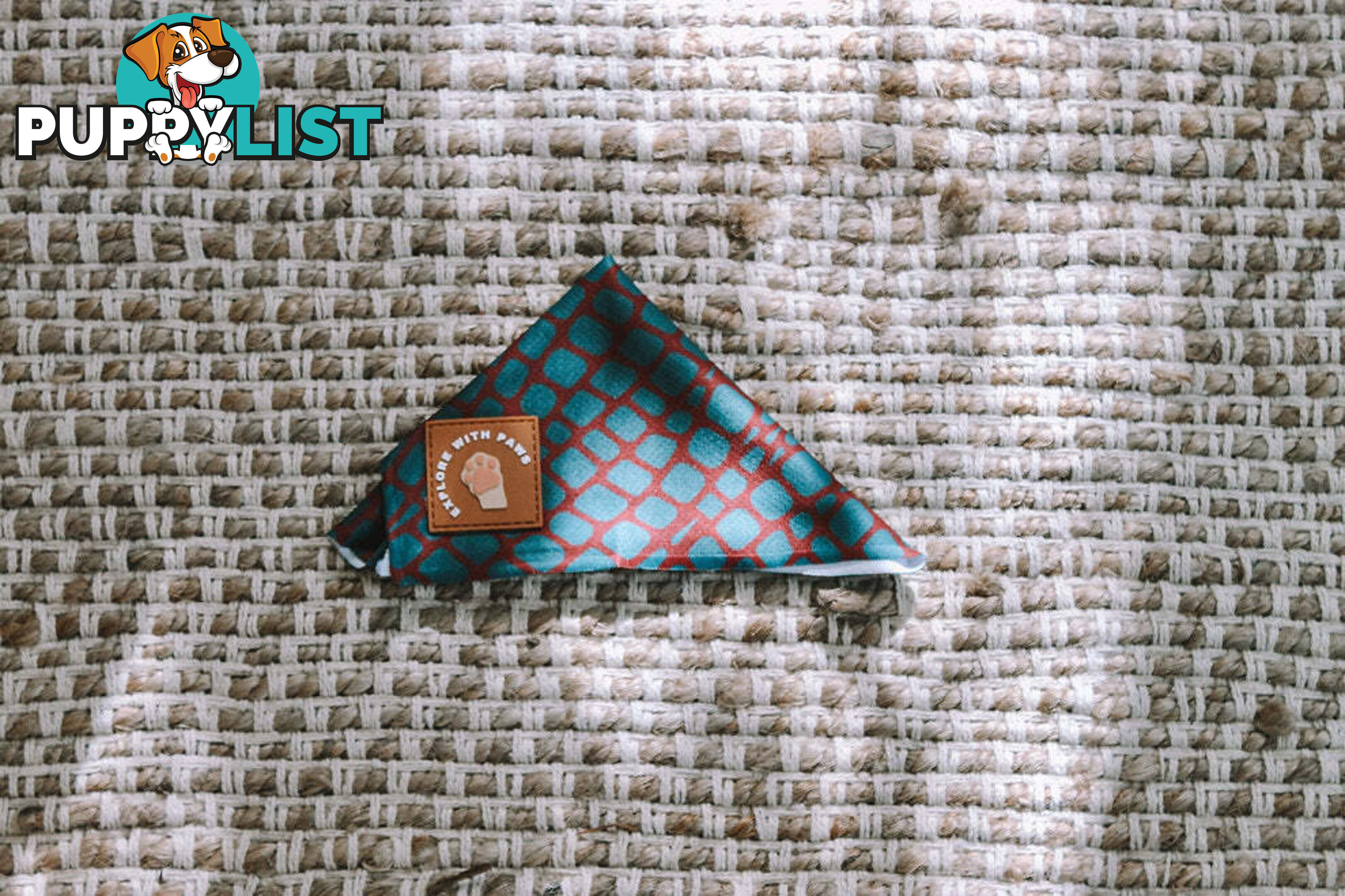 Designer Dog Bandana's by Explore with Paws - EWPBANLTIG