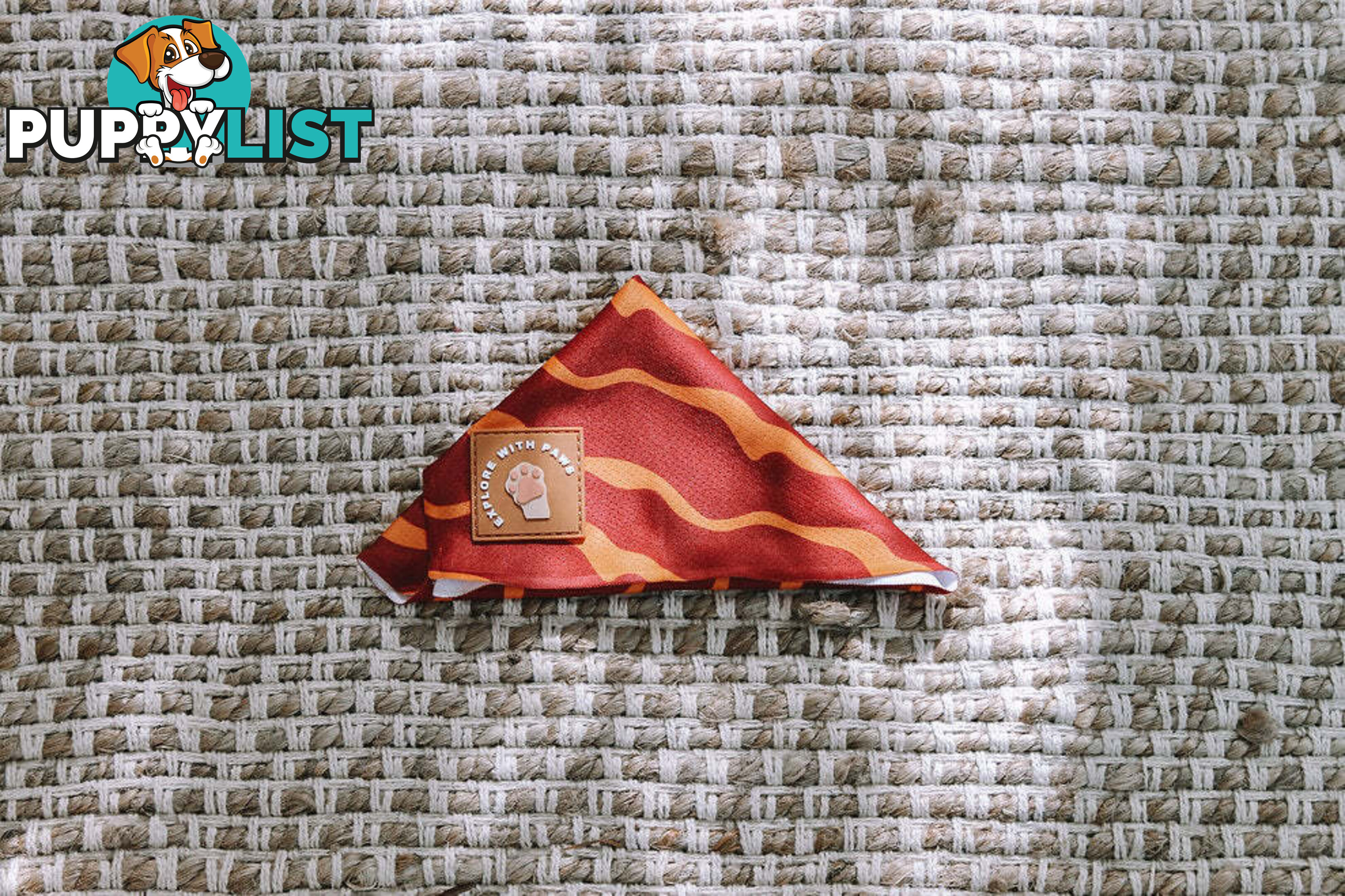 Designer Dog Bandana's by Explore with Paws - EWPBANLTIG