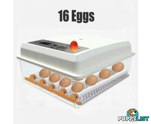 Egg Incubator Fully Automatic Digital Thermostat Chicken Eggs Poultry - V201-EGG0216WH8AU