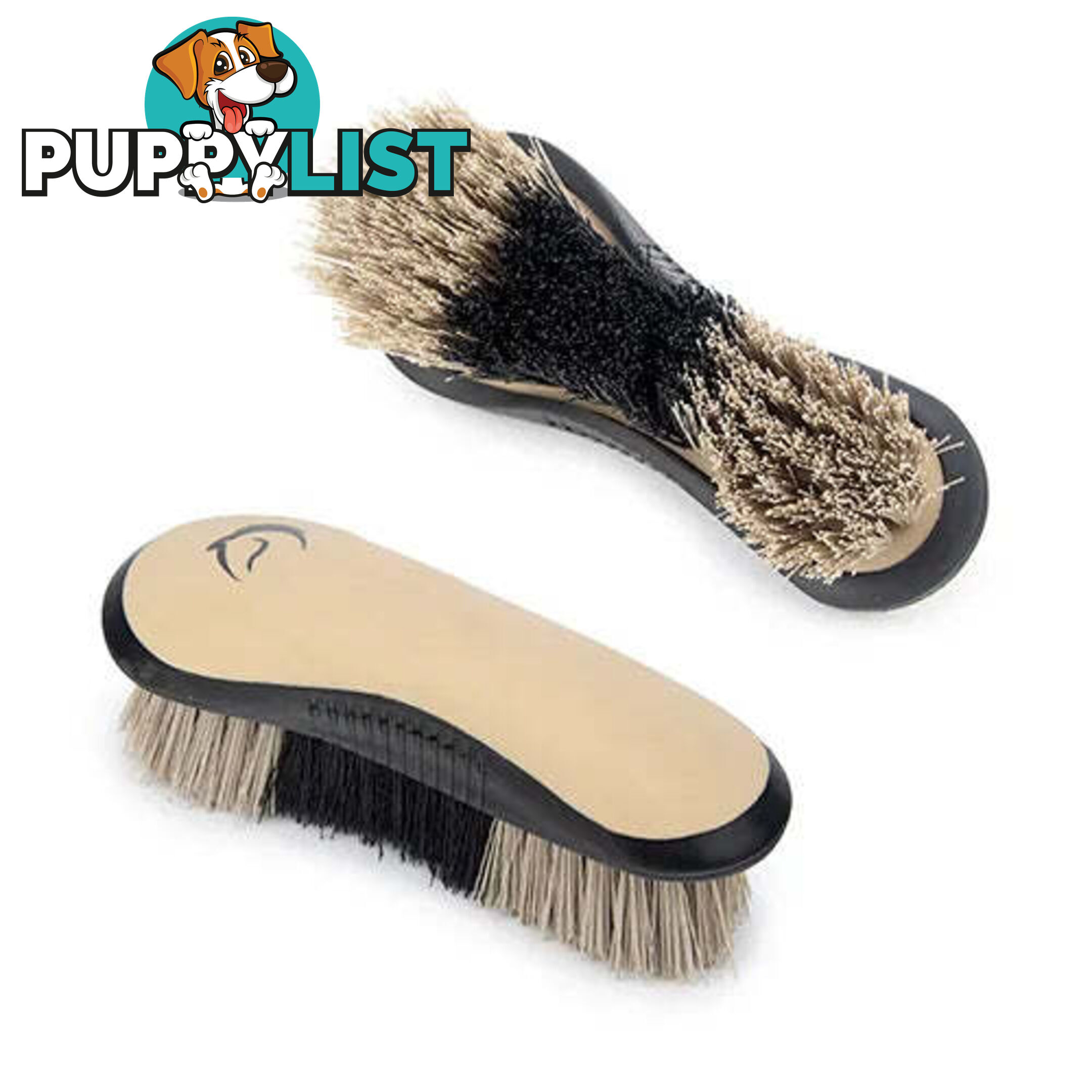 STIFF DANDY BRUSH - BAINBRIDGE - BB-A4072-BKBE