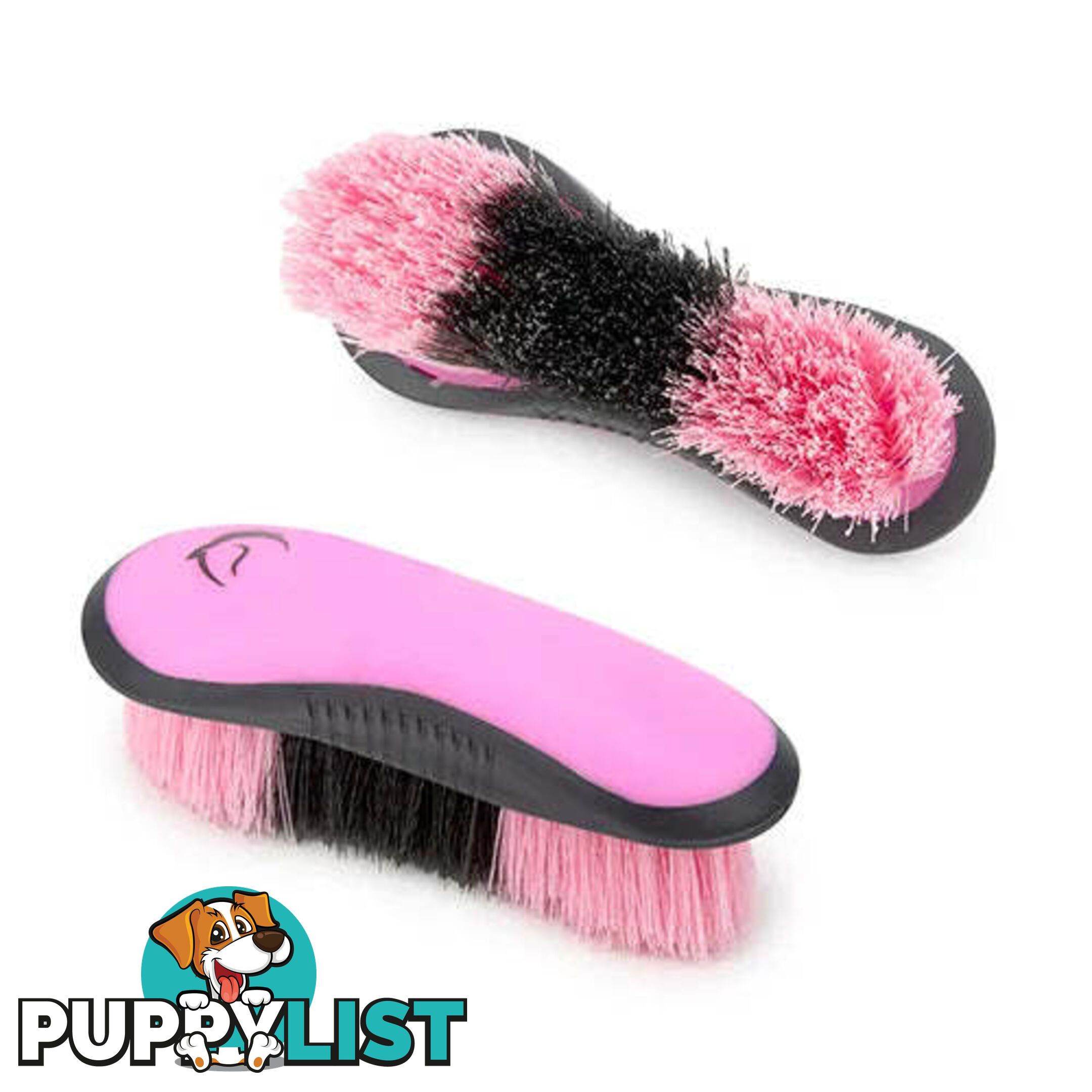 STIFF DANDY BRUSH - BAINBRIDGE - BB-A4072-BKBE