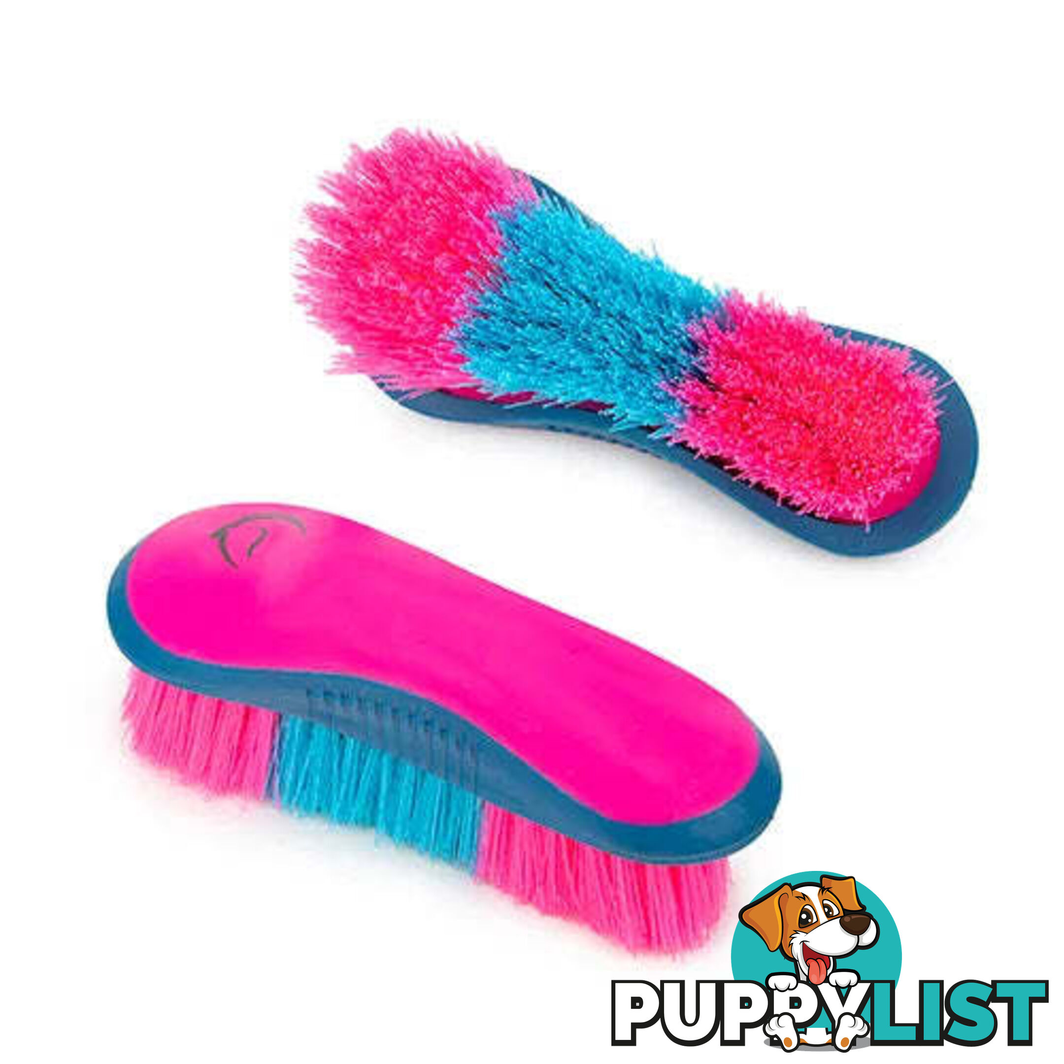 STIFF DANDY BRUSH - BAINBRIDGE - BB-A4072-BKBE